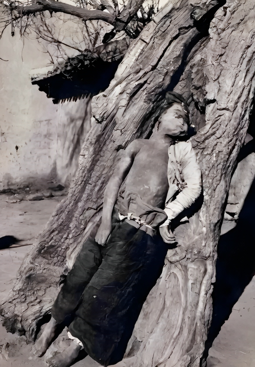 西路军真的太不容