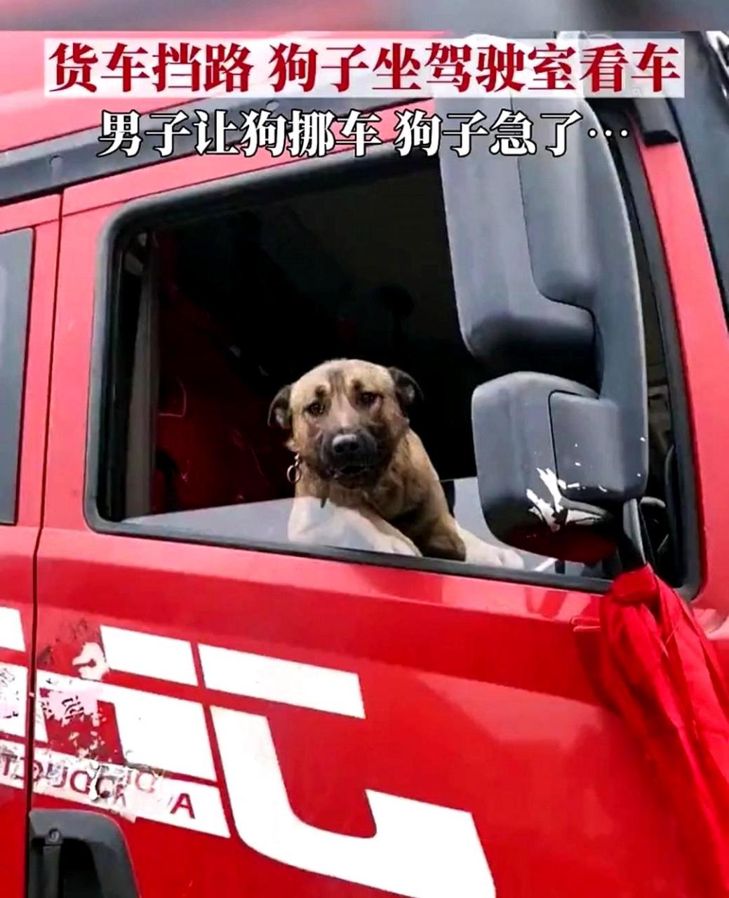狗师傅不仅不肯移车,还口出狂言,实在太过分了!