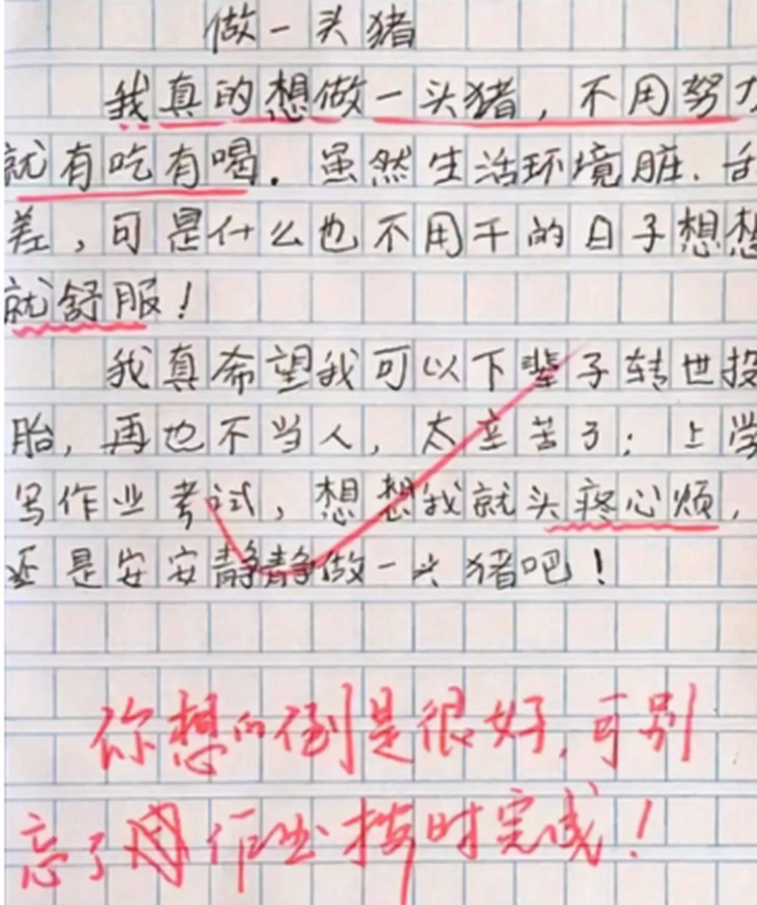 【小學生作文《委屈》走紅,字字句句都是辛酸,老師看後心疼五秒鐘】