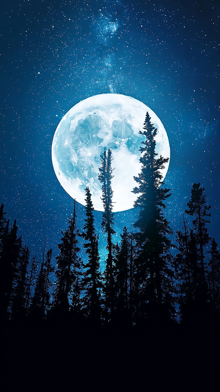 高清手机壁纸|唯美意境无水印全屏壁纸:美是一种境界,超好看的4k图片