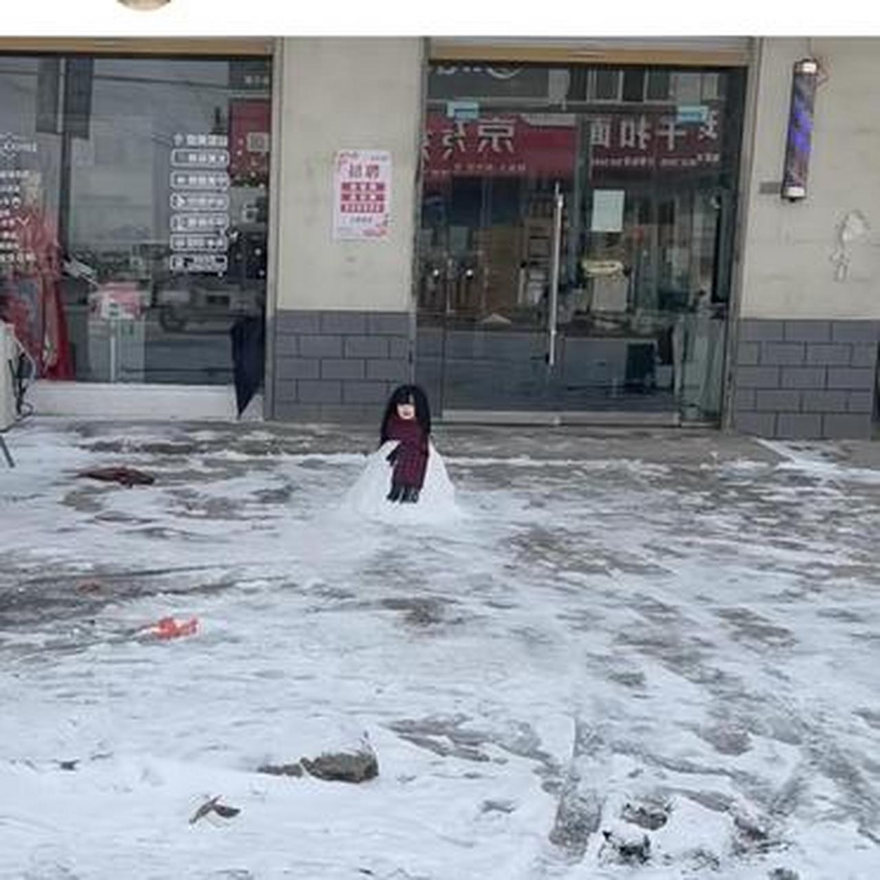 东北肢体雪人案件图片