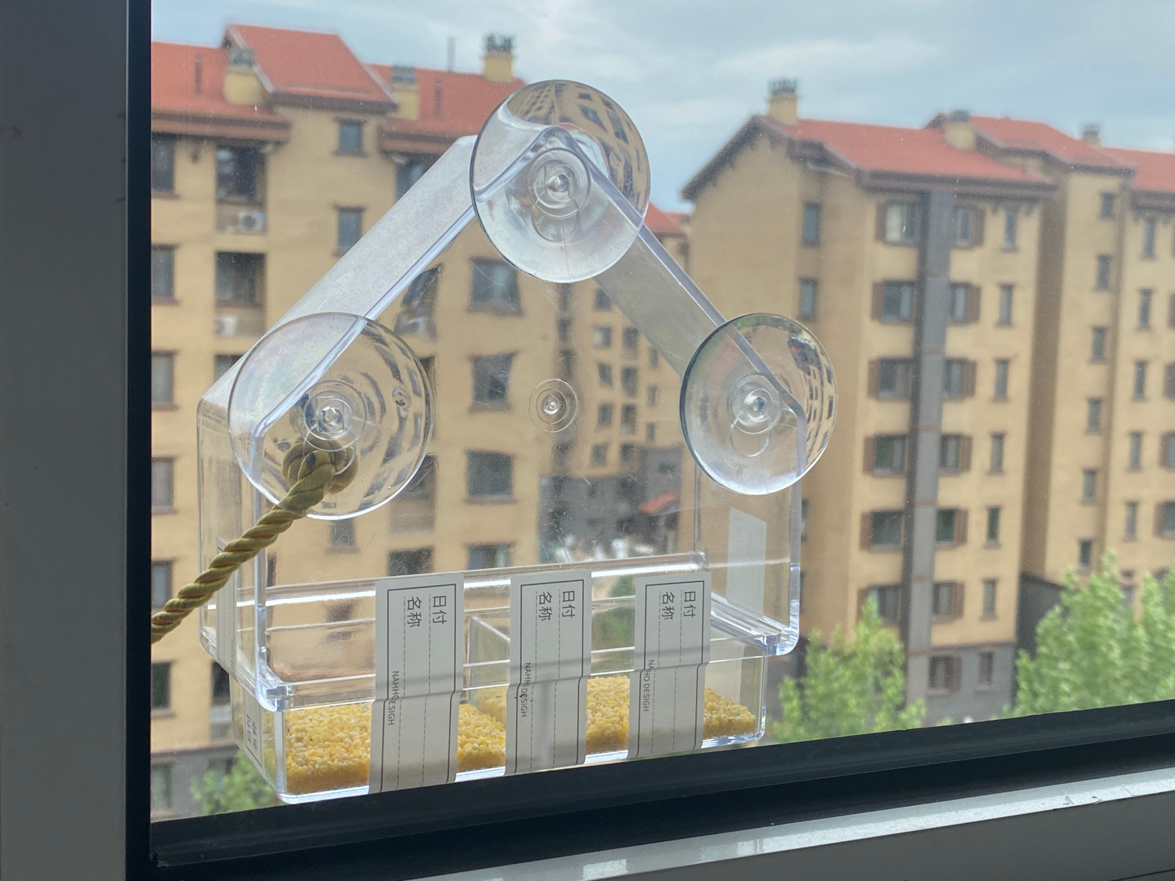 一个月前看有只小麻雀落在床前,于是买了个喂鸟器.