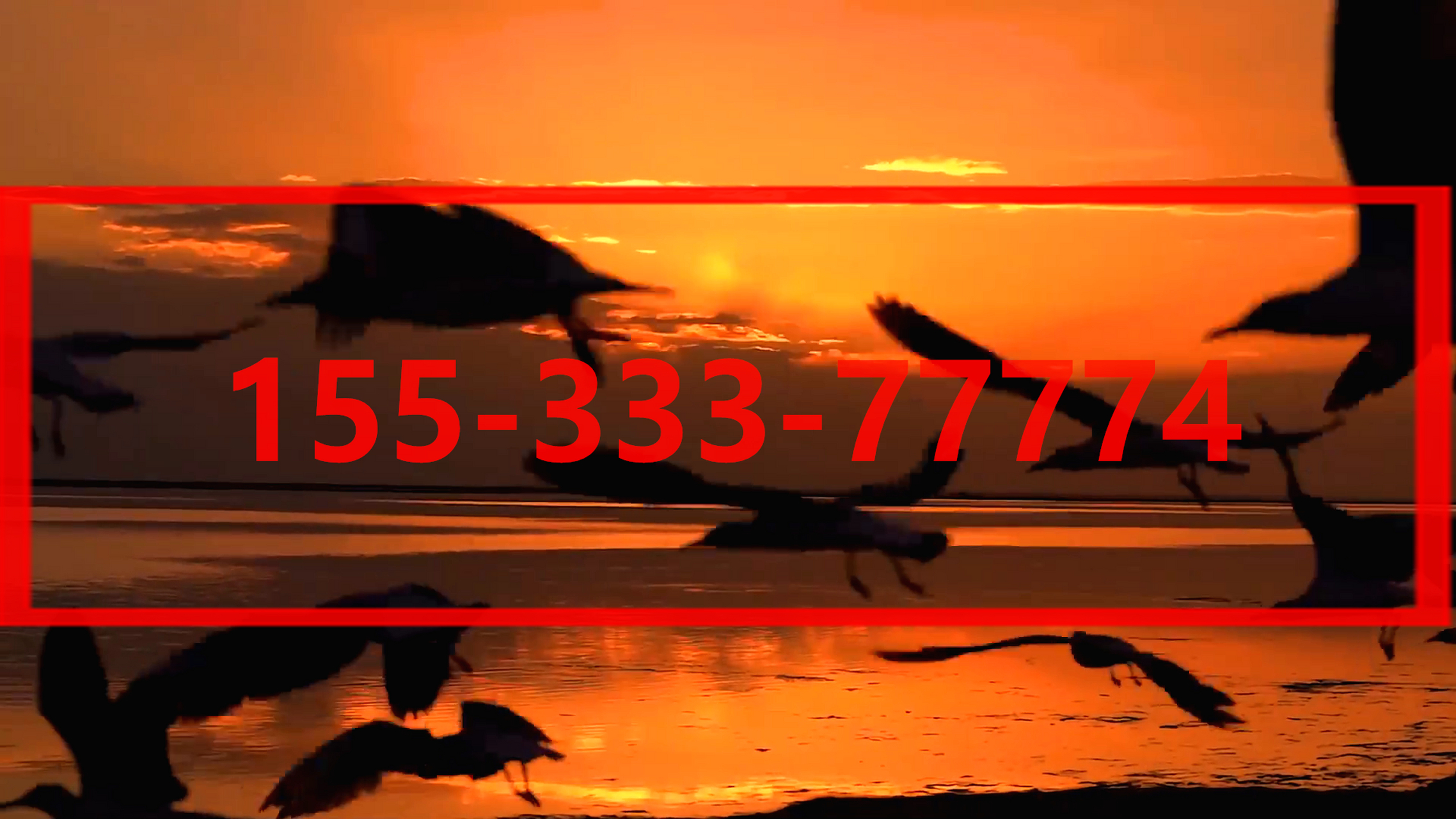 「盘点下」{皇冠登3出租}(今日/正文)gplakeny