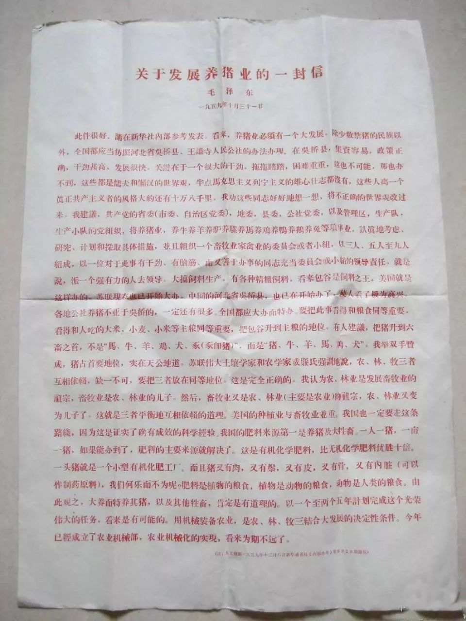 此件很好,请在新华社内部参考发表.看来,养猪业必须有一个大发展.