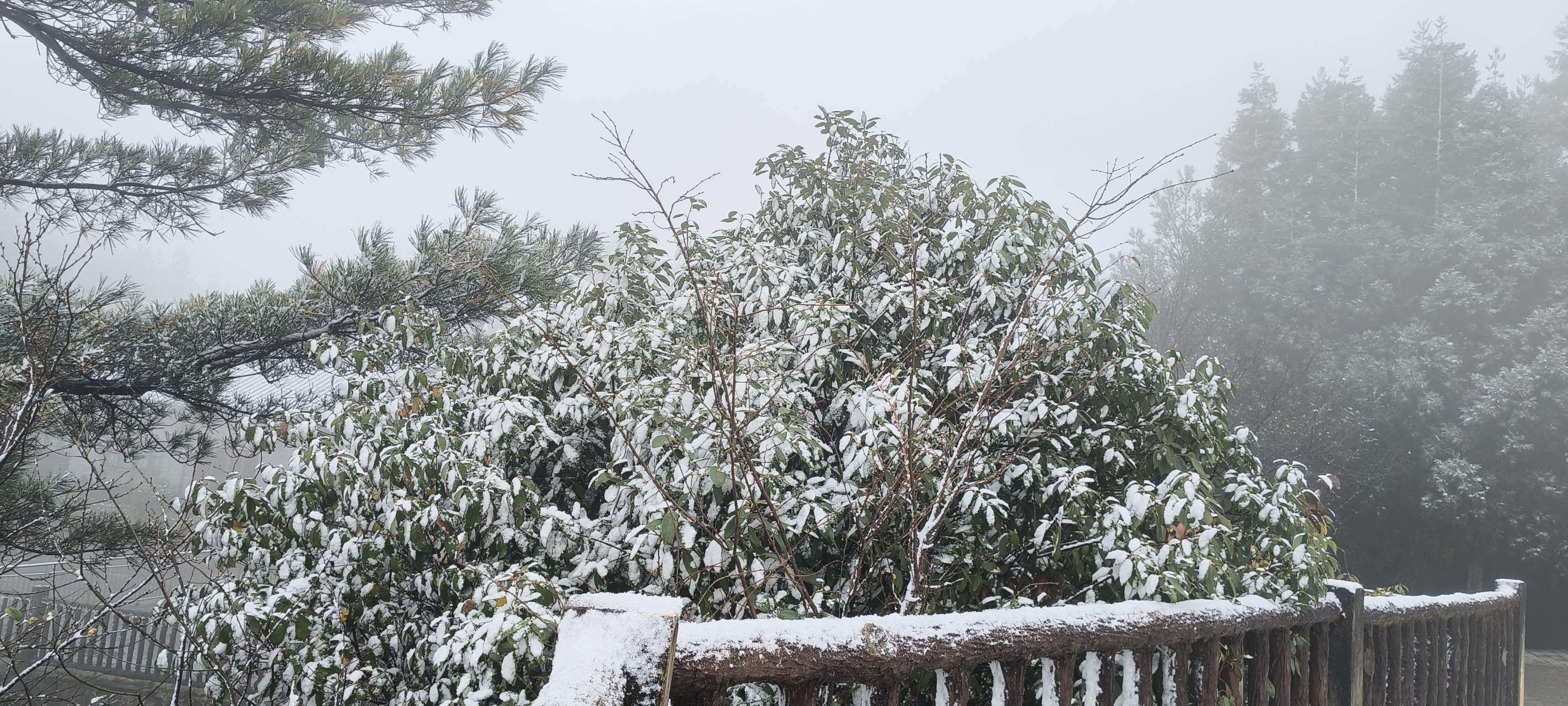 石柱黄水雪景图片