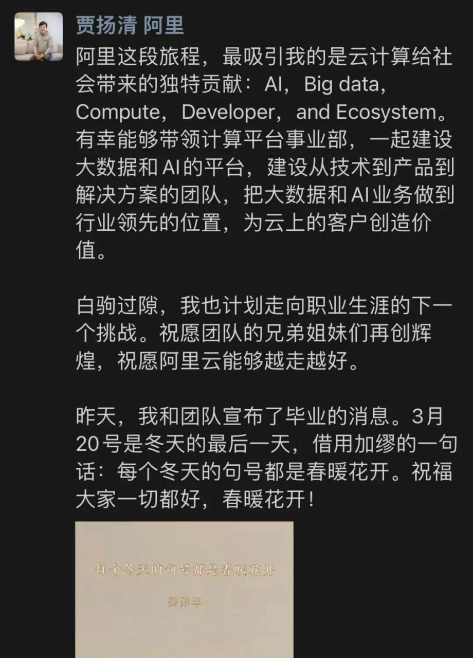 阿里p11贾扬青离职的"蝴蝶效应".