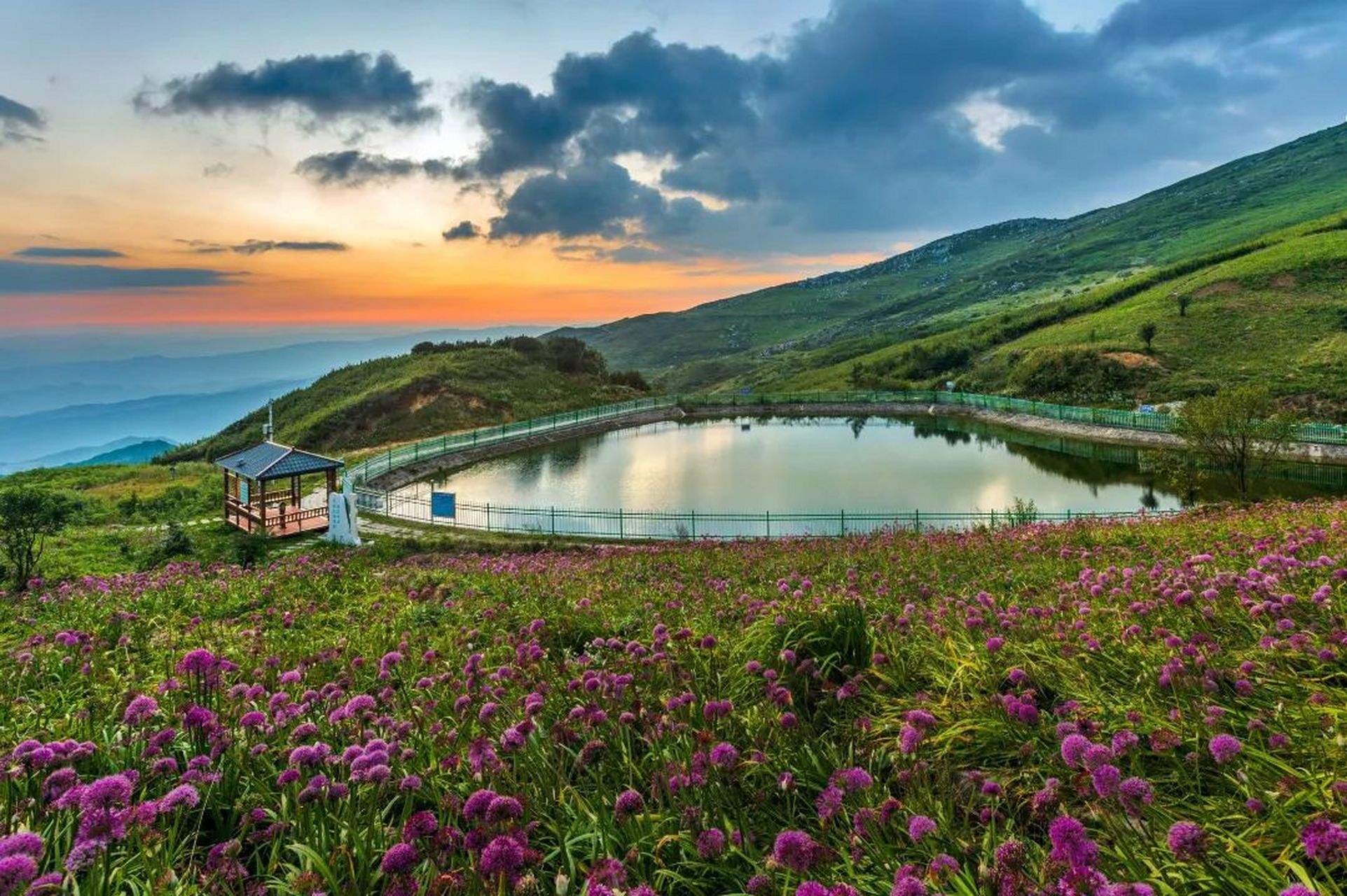 贵州屋脊的花海世界】每年九月,贵州省毕节市赫章县韭菜坪景区正值