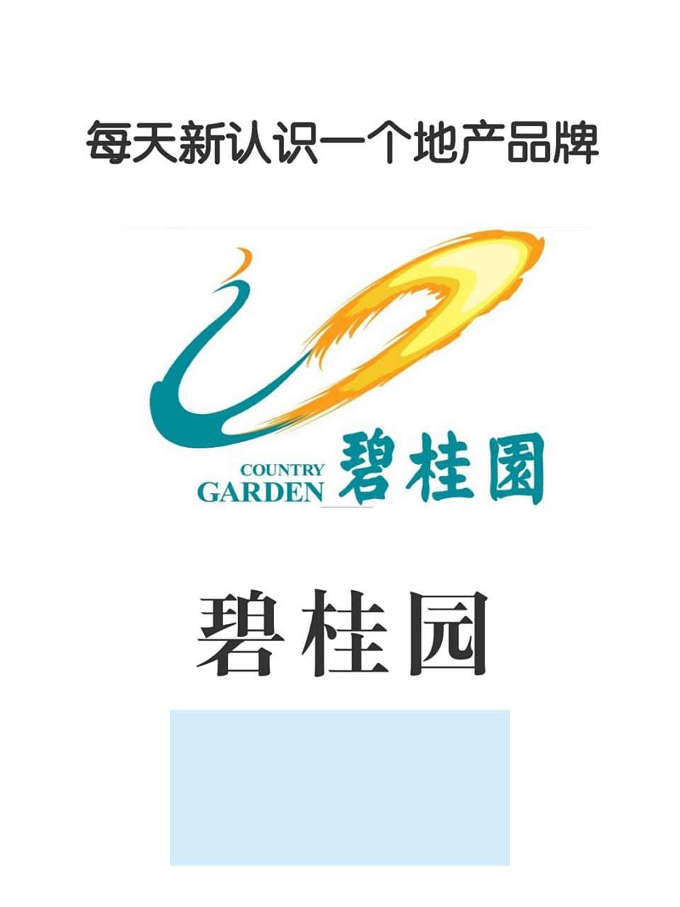 每天新认识一个地产品牌 碧桂园