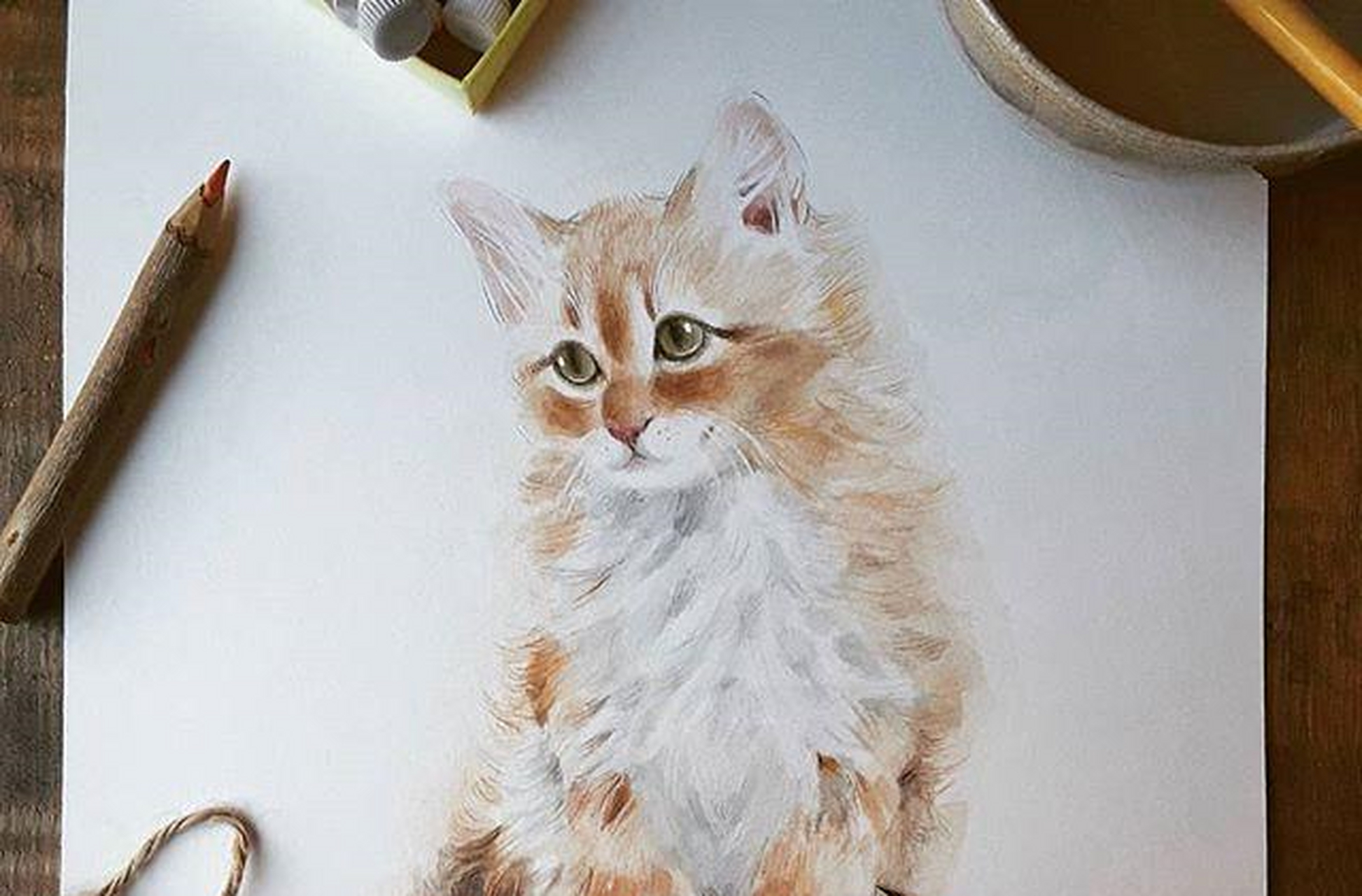 小动物爱好者,一组毛茸茸的动物水彩插画分享!