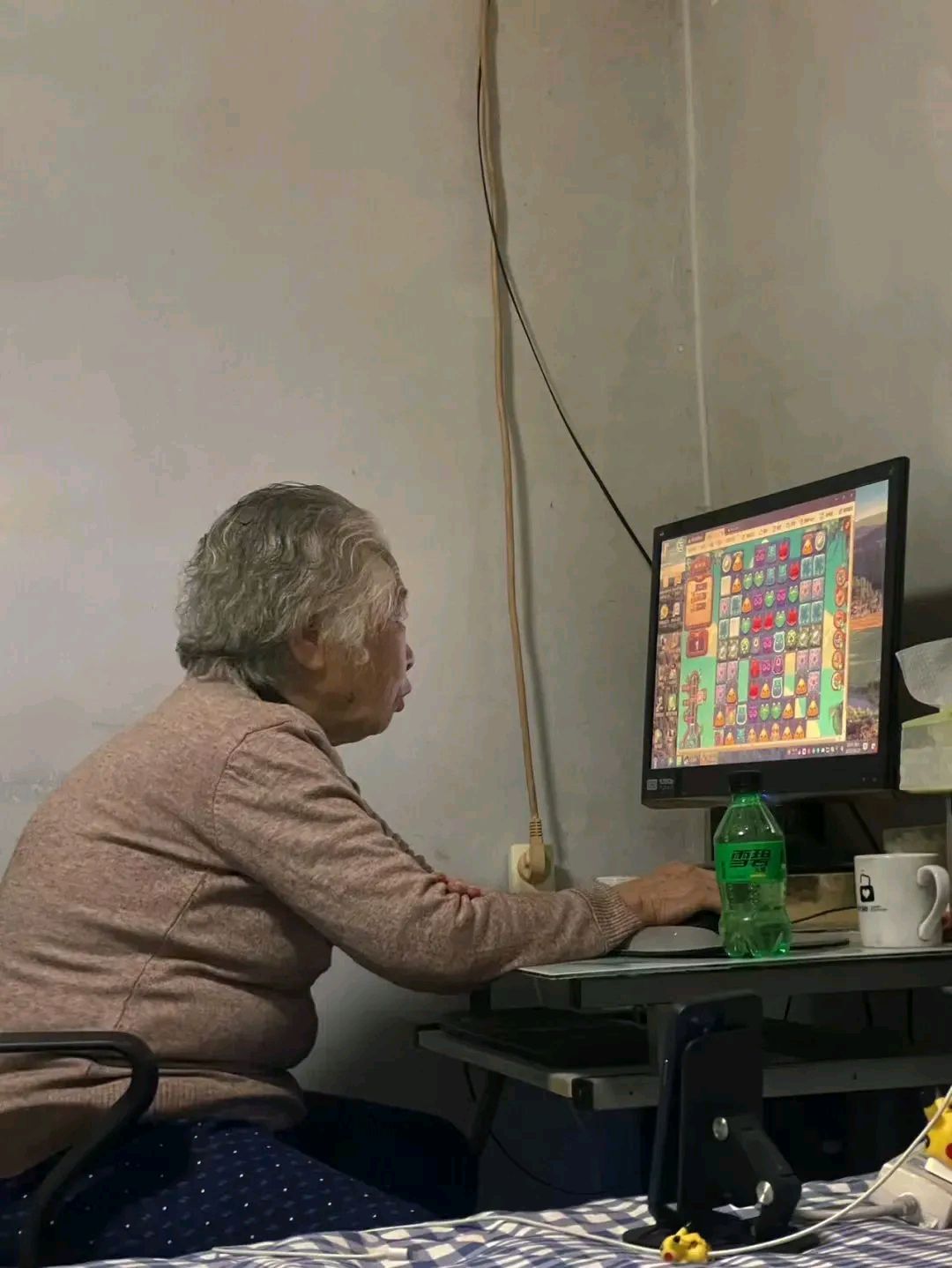 最近一位网友发表了他奶奶玩游戏的图片 网友看到这些图片后纷纷羡慕