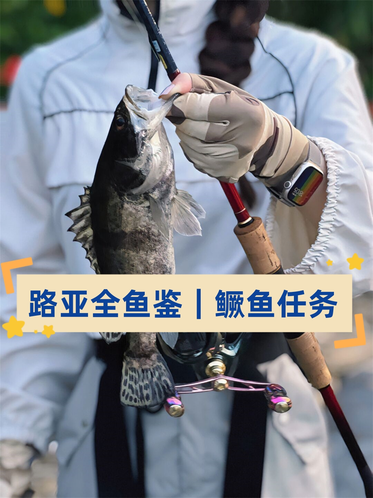 小红书路亚全鱼鉴  鳜鱼又名鳜花鱼,桂花鱼.