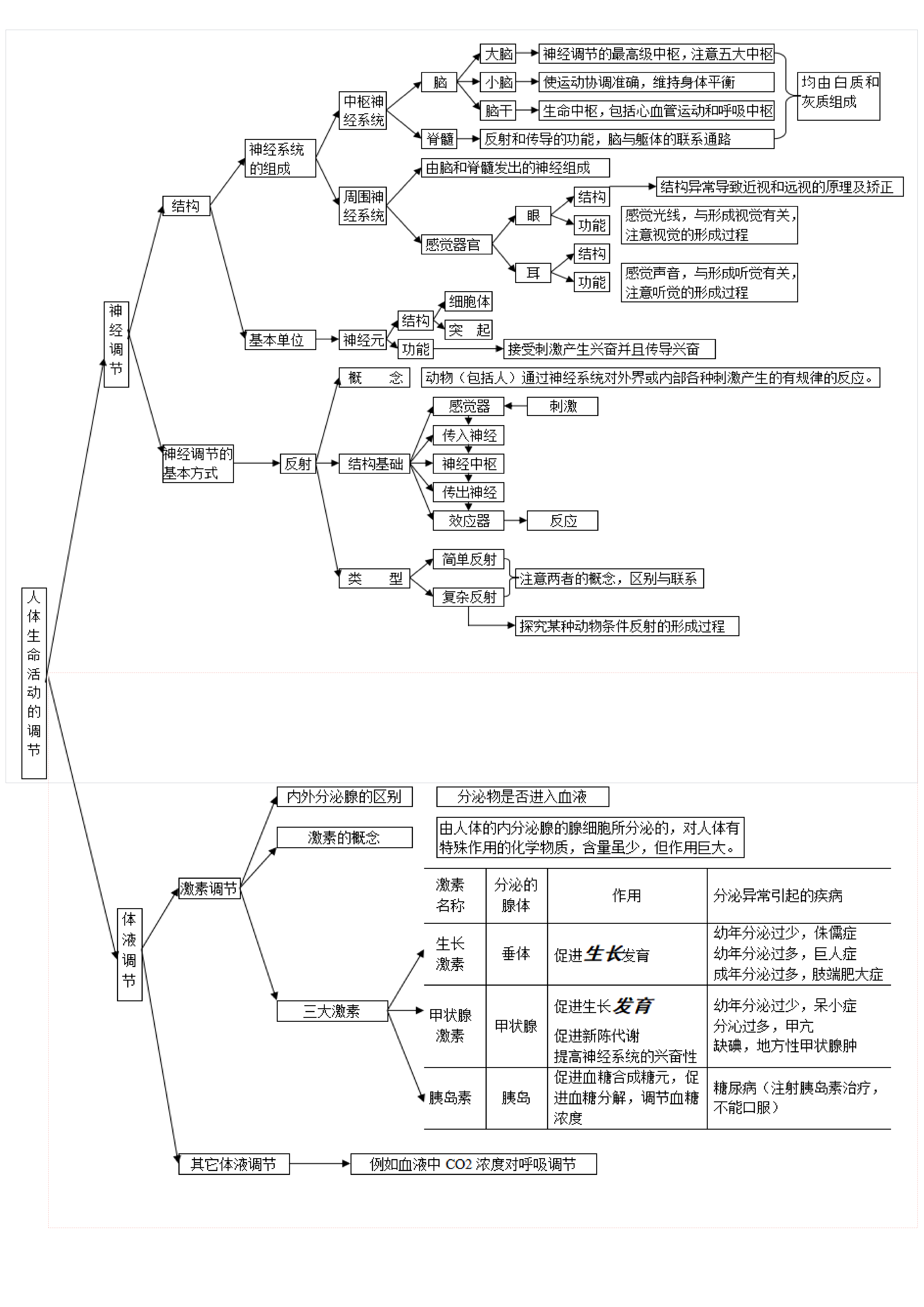 人的 生命活动调节知识导图!