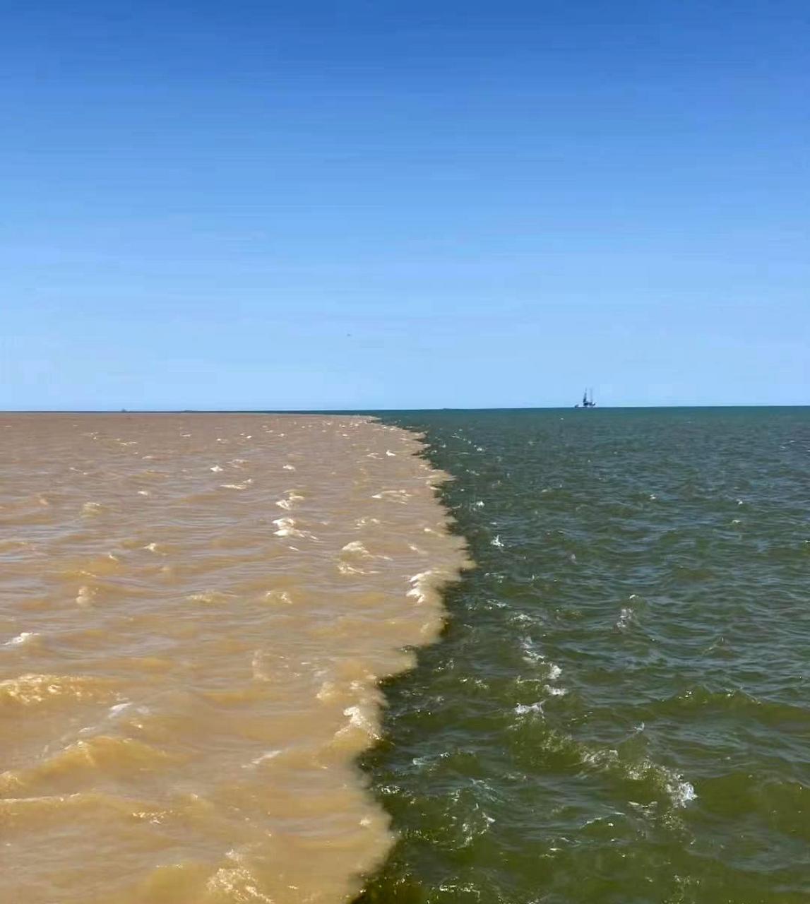 渤海和黄河的水分界明确.