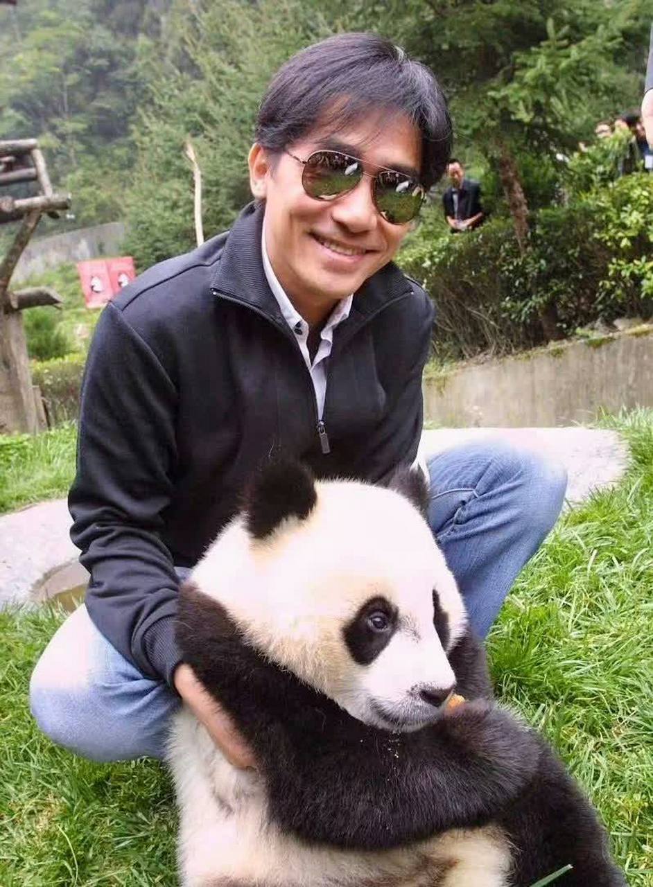 梁朝伟和他收养的熊猫香香.  ?  ?[耶]