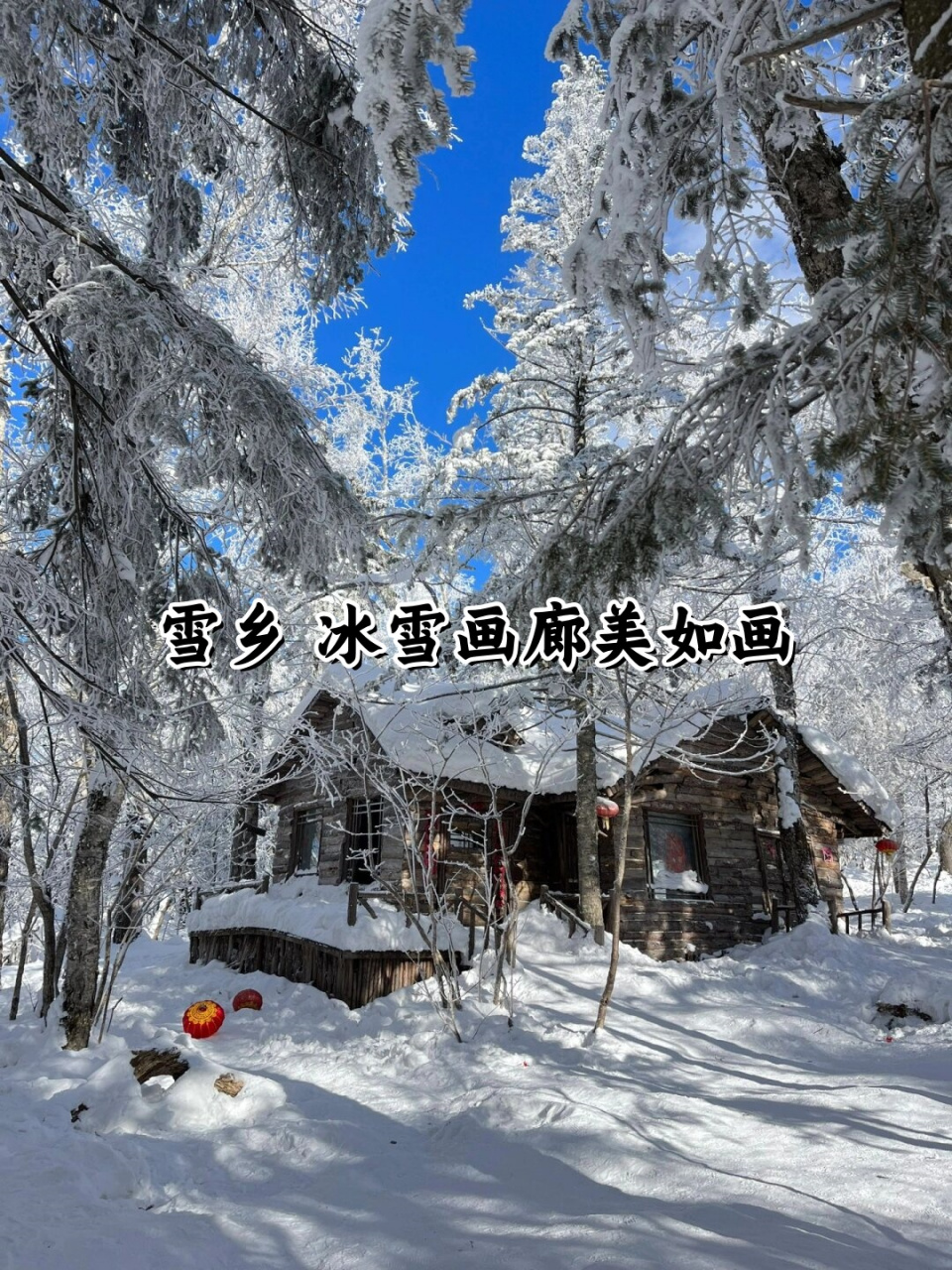 冰雪画廊图片