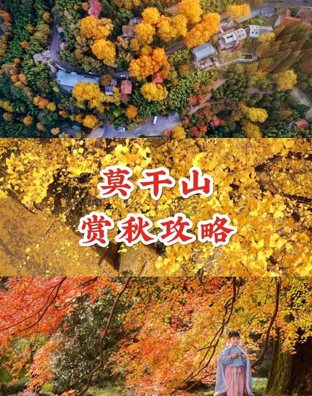 莫干山的最美,温度适宜,人也较小,最适合度假[暗中观察] 避开人挤人的