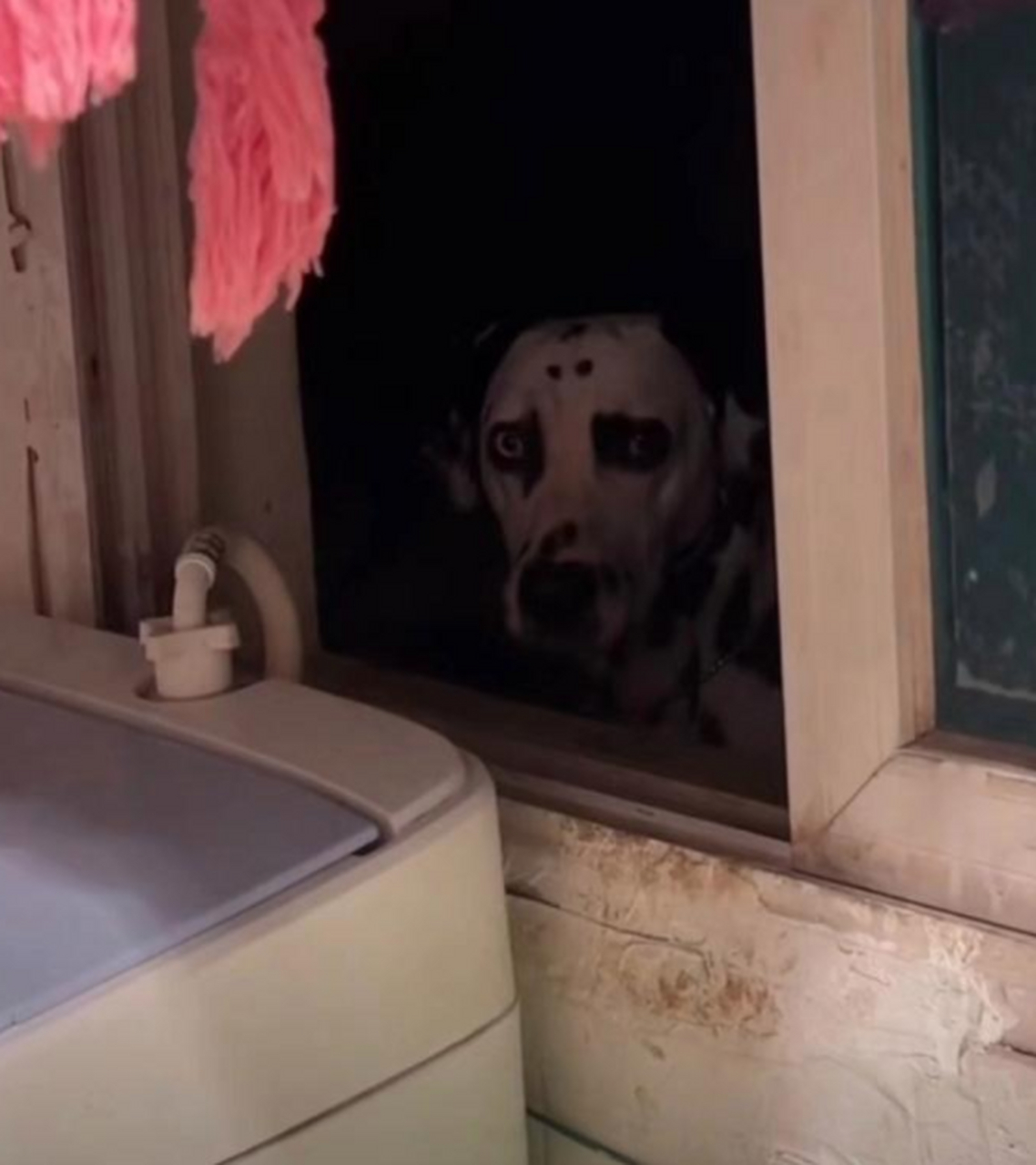 刚看完恐怖片,上厕所就遇到这样的事