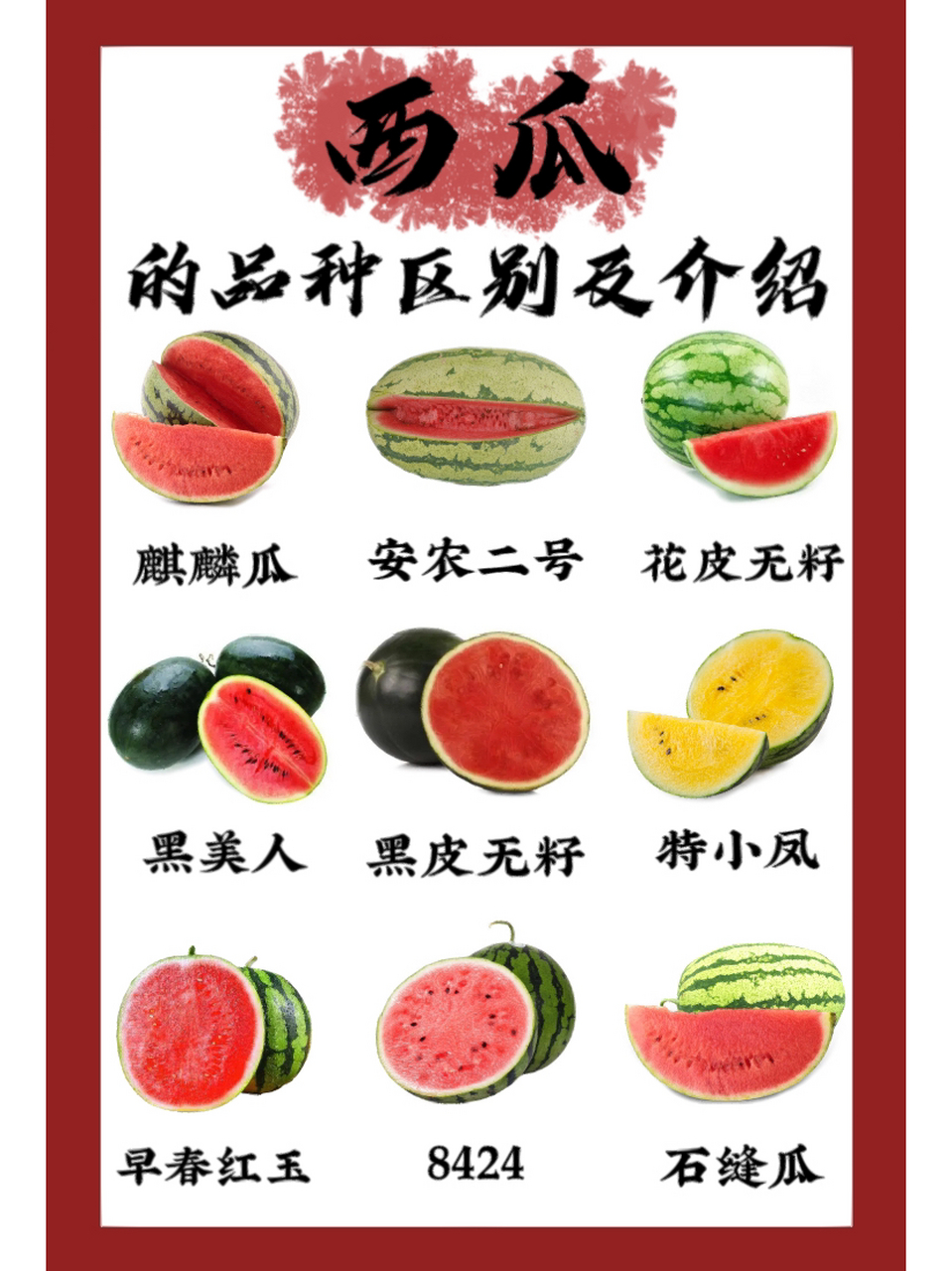 西瓜品种介绍及区别.3秒带你了解西瓜