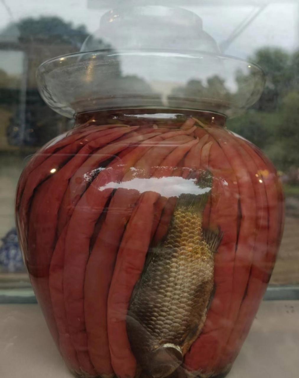 为什么泡辣椒的坛子里要有一条鱼?