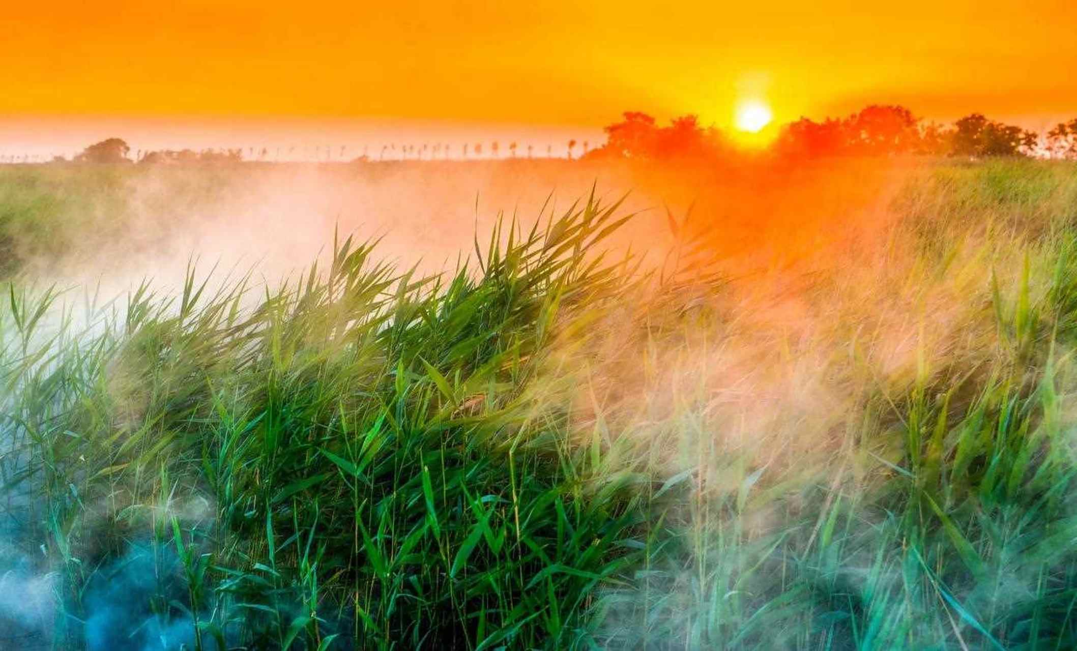 这是河北唐山曹妃甸的湿地迷宫,是属于当地政府保护性开发湿地区域