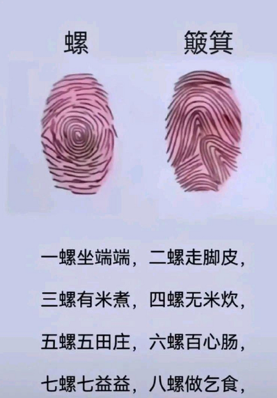 你有几个簸箕几个斗?