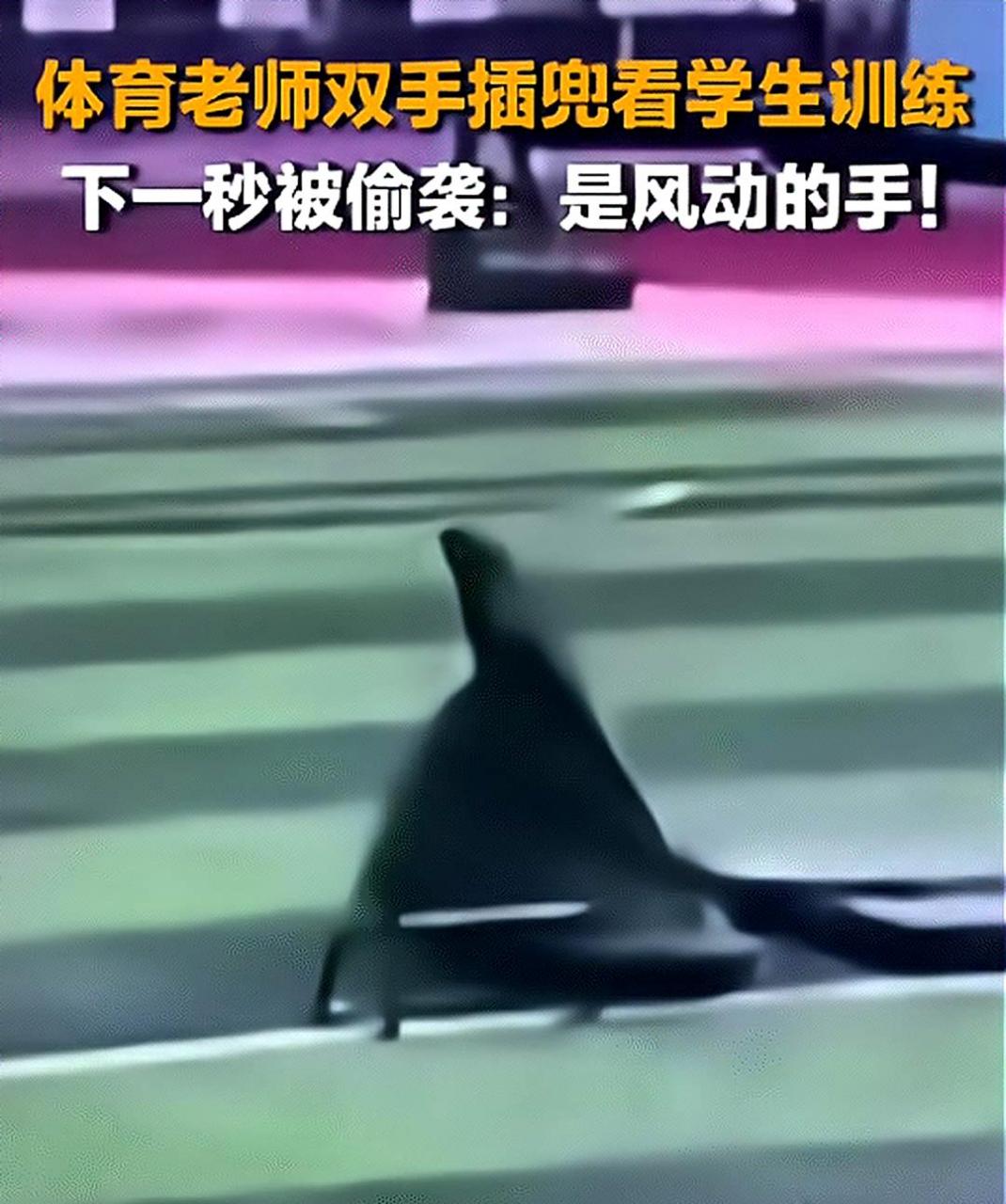 体育老师双手插兜观察学生训练,却被"偷袭",学生解释道:"是风吹动的手