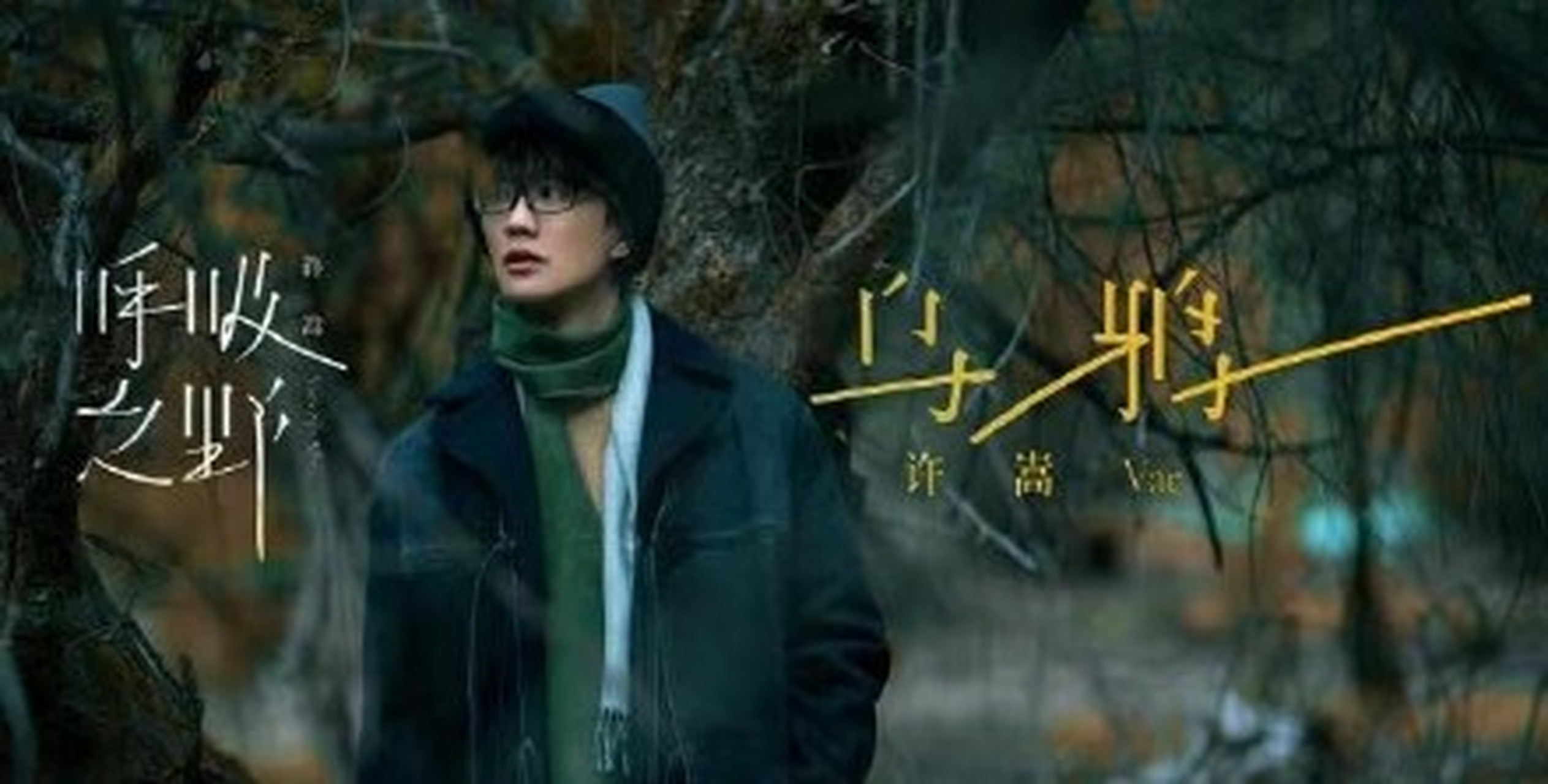 许嵩新专辑《呼吸之野》主打歌《乌鸦》已上线,透过治愈的声音,低沉的
