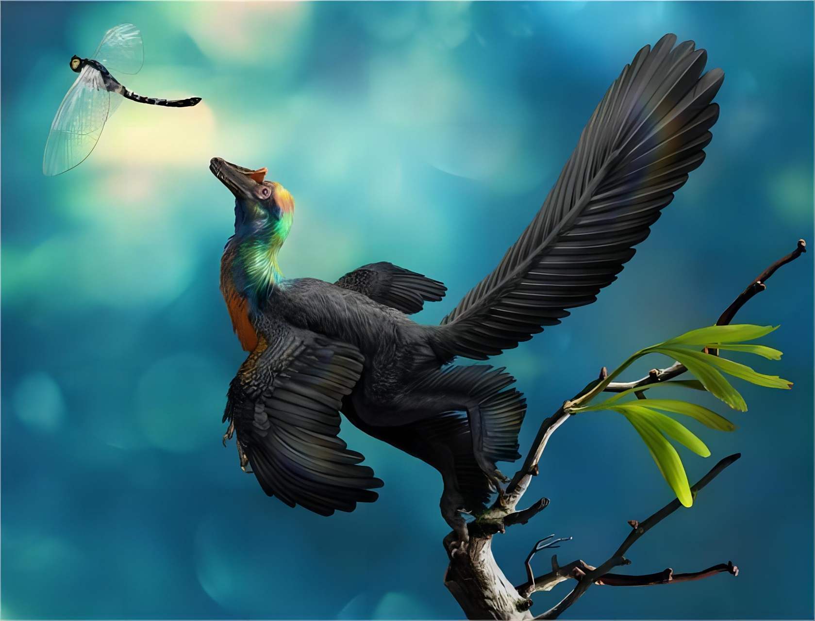 自然界的奇特保护伞:恐龙与鸟类的进化之谜!