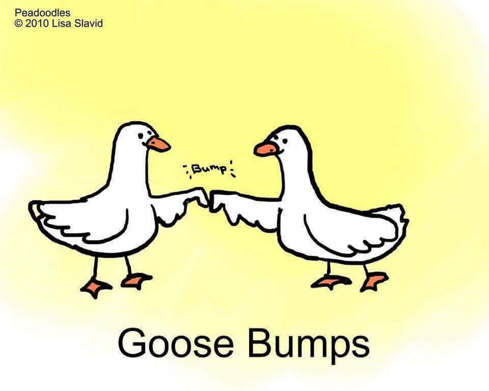 goose bumps:我们常说起"鸡皮疙瘩",是当人体感觉特别寒冷时,或者
