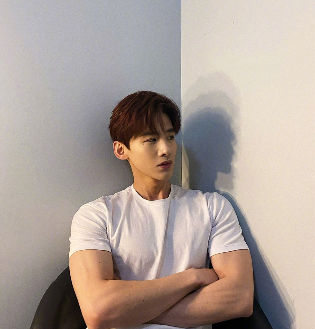 白敬亭成立企业管理公司# #白敬亭新公司名叫明白乐