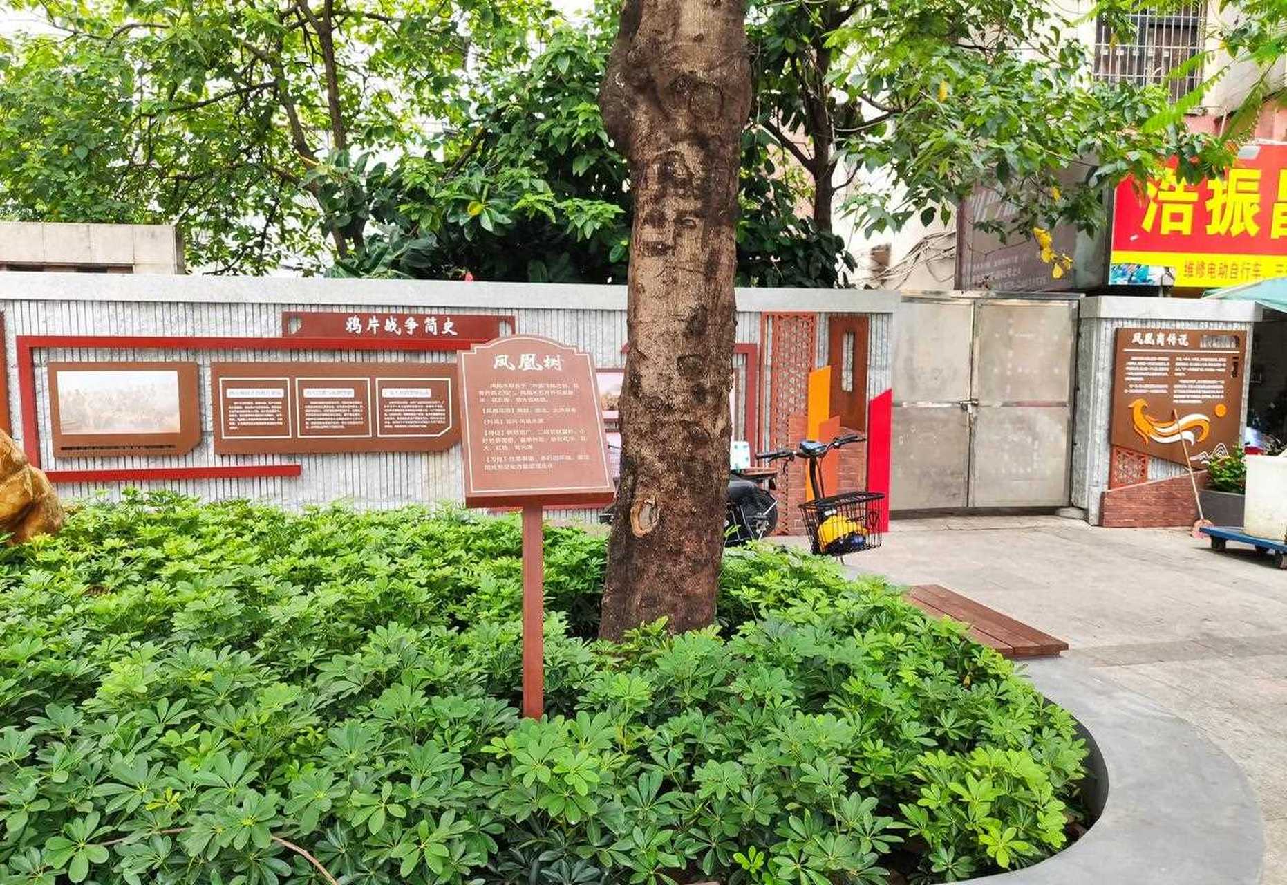 今日行经广州市海珠区革新路的凤凰岗,见到原来的垃圾场变身为美丽的