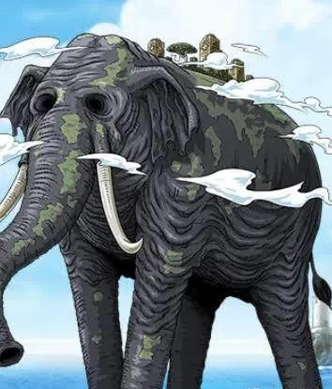 gif创作人#  海贼王佐乌岛的原型找到了 [捂脸]