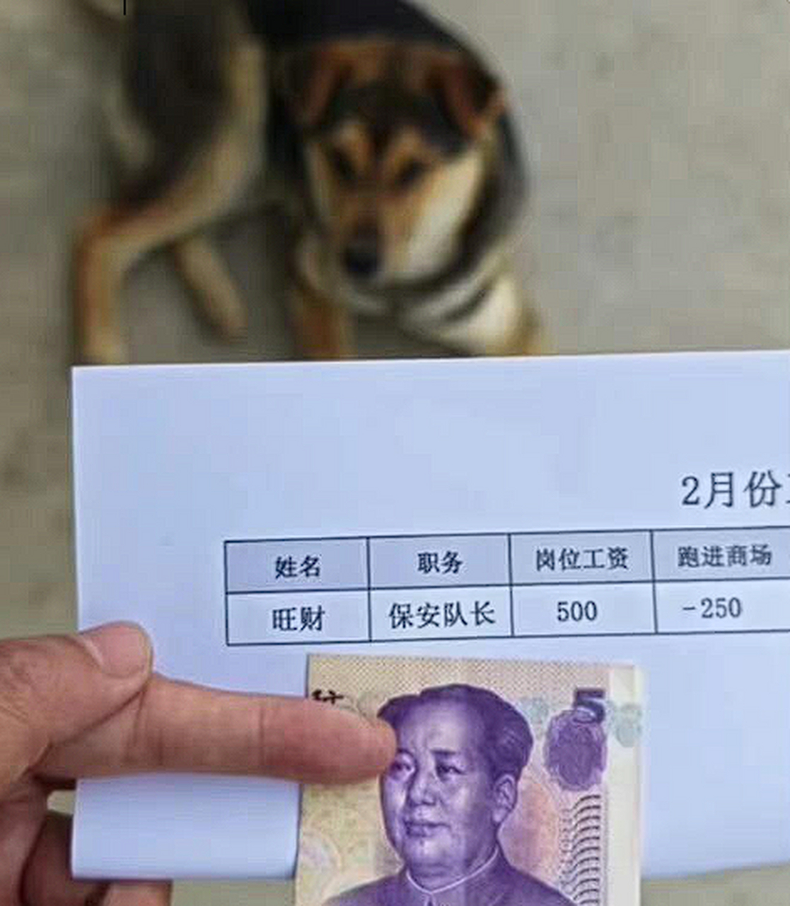 保安大队长旺财的工资条!