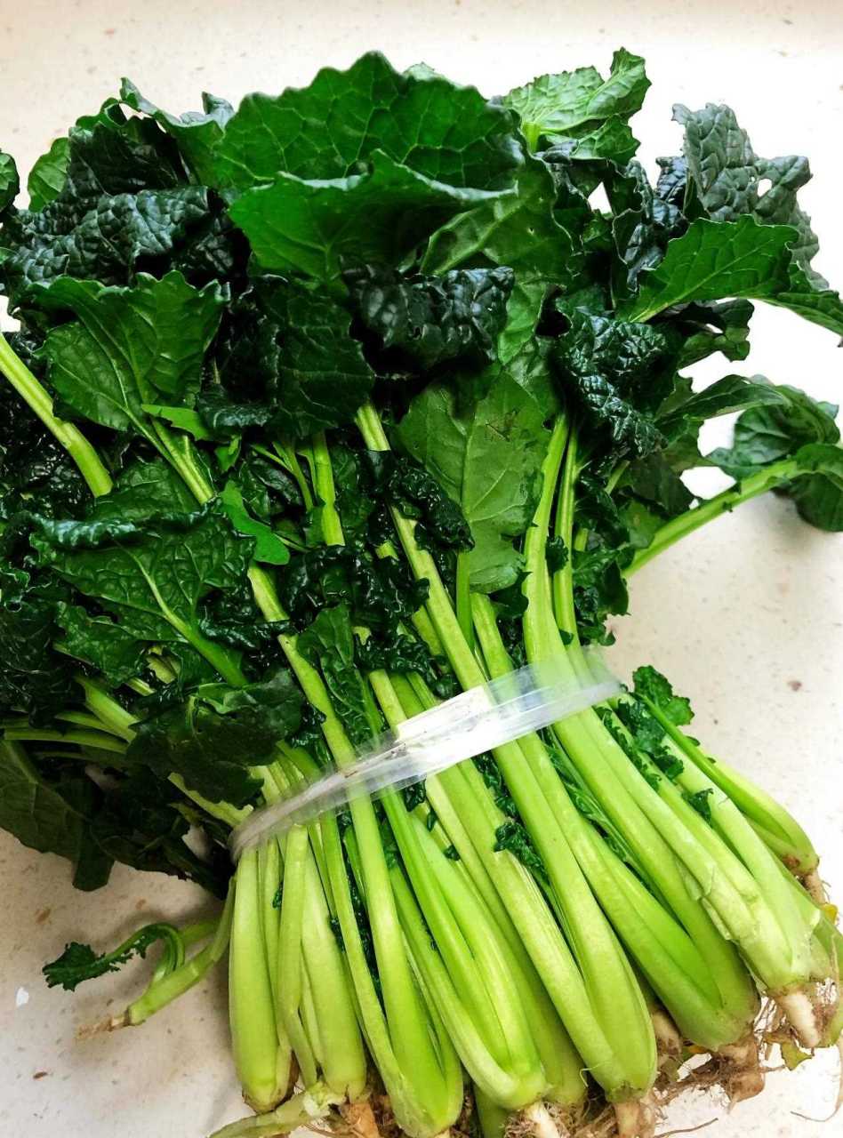 苔菜与菜苔 1-苔菜,可以炖煮的青菜,两季常见,也叫黑苔菜,最好吃的