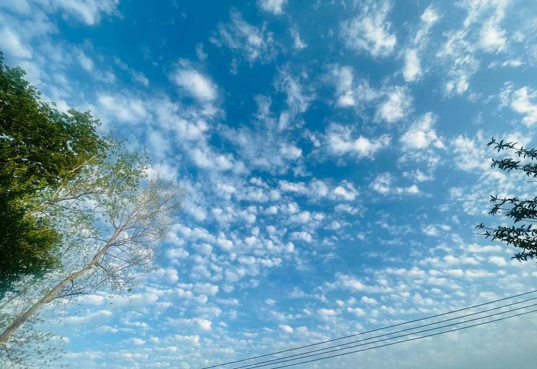 天上鲤鱼斑,晒谷不用翻.