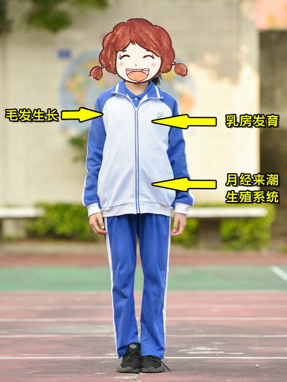 女孩正常发育顺序是什么  女孩发育顺序,和男孩正好相反,一般按照从上