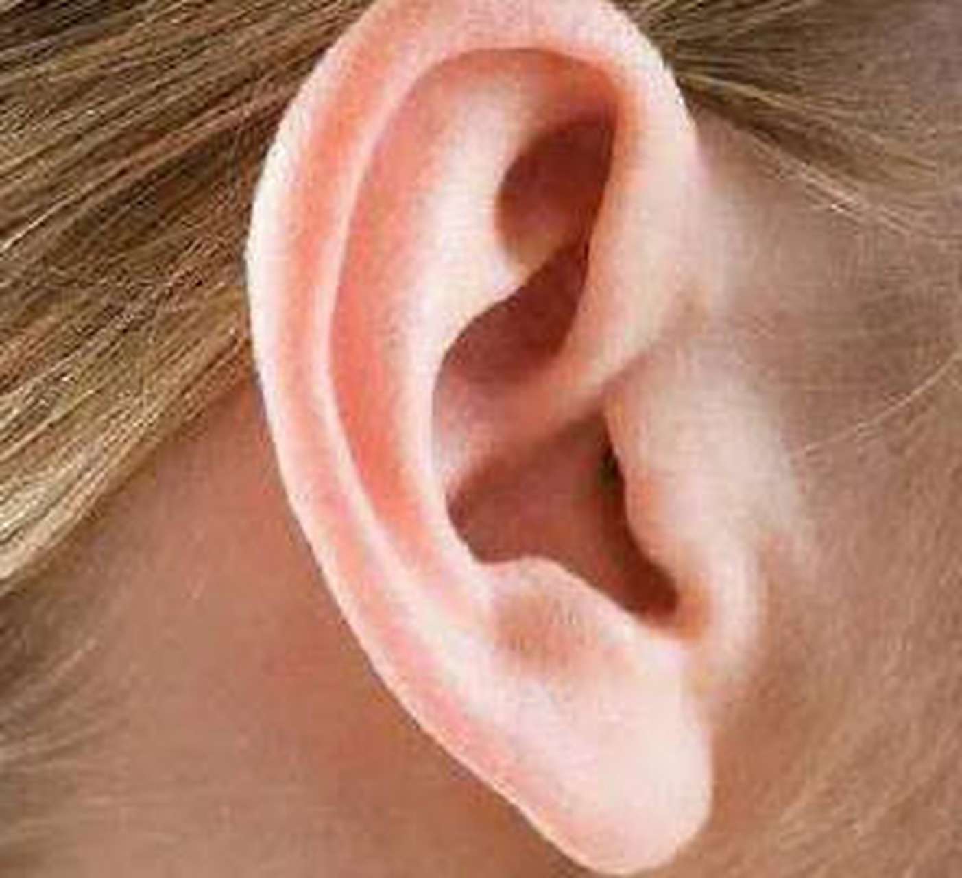 耳朵大的人:  耳朵大代表有福气,女生耳朵大也是有福气的一个特征