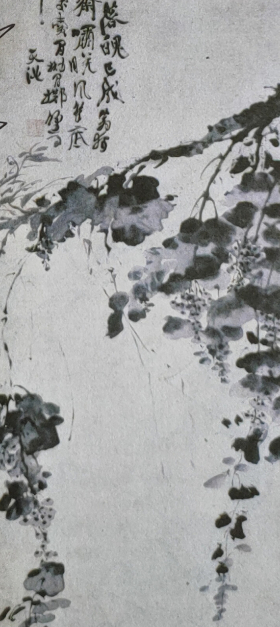 中国画(名画):墨葡萄图.
