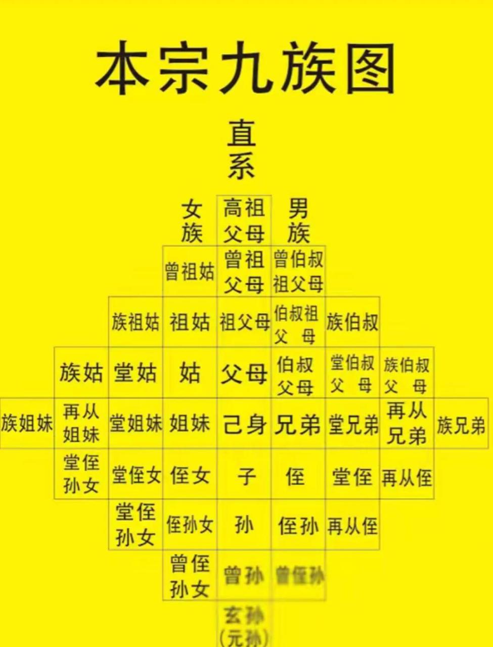 本宗九族图,家族成员详细解读!
