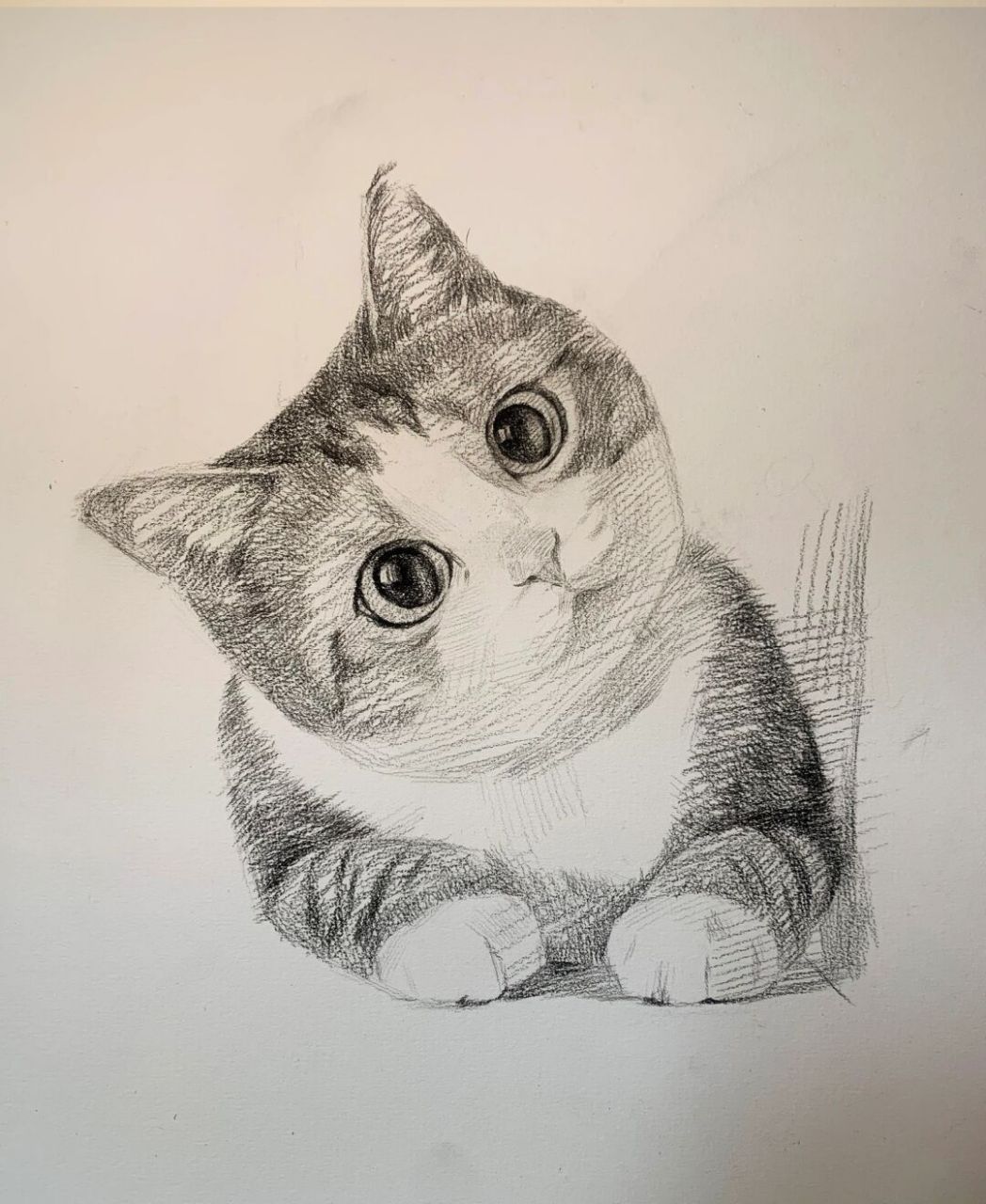 超可爱猫猫素描步骤图  超级可爱又适合零基础学员练习的猫咪步骤