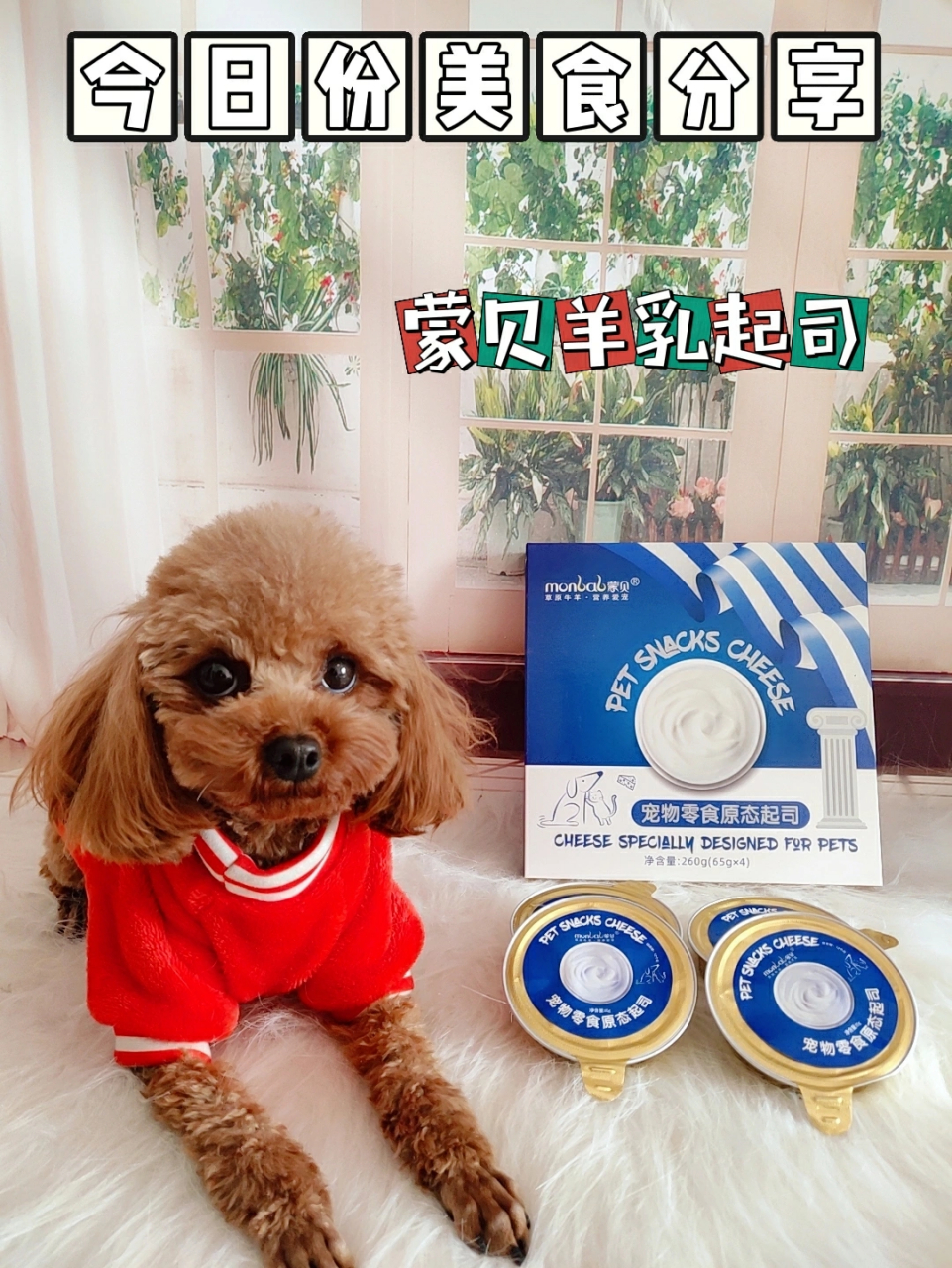 酱酱酱我又回购了毛孩儿们爱吃的起司啦 前段时间不是给家里的小猫咪