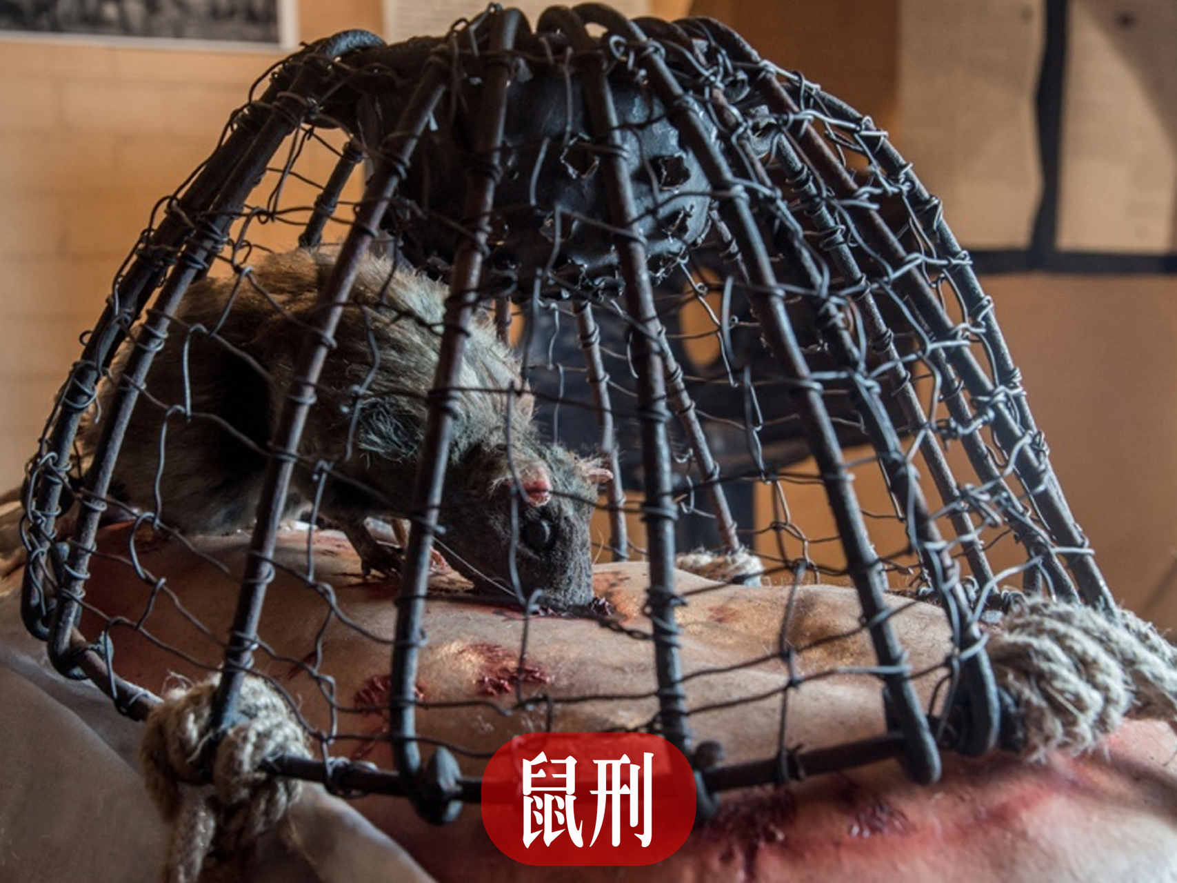 历史上最残酷的刑罚之一:鼠刑.