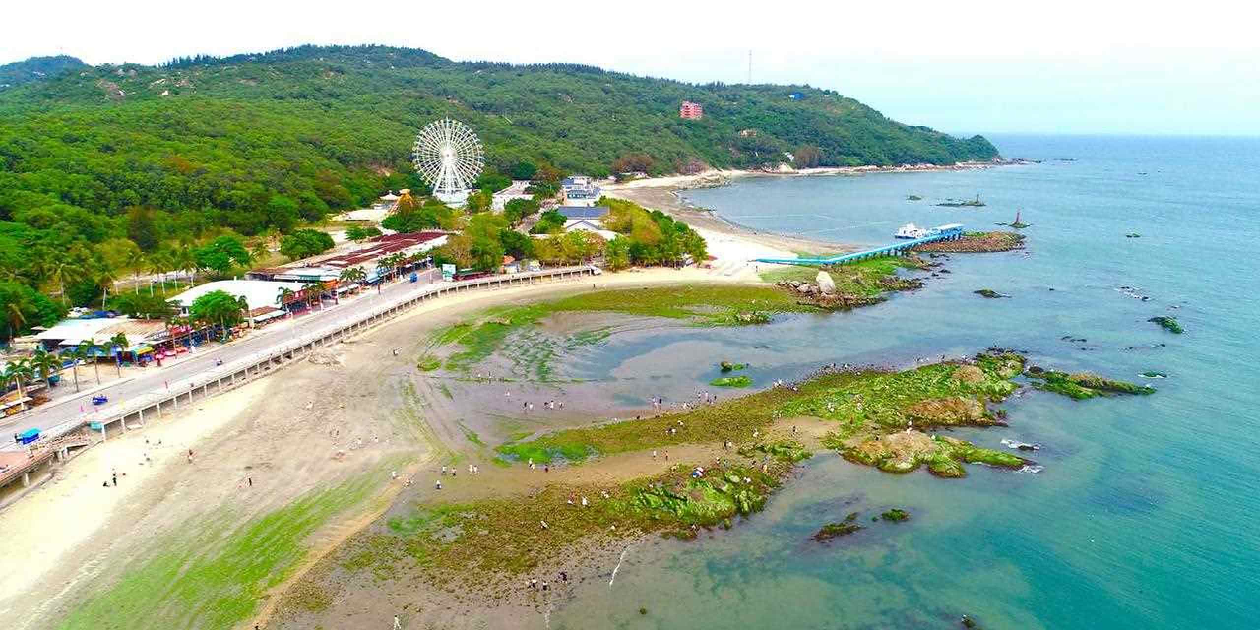 广东阳江沙扒湾海天沙滩[舔屏] 退潮后一片绿油油的紫菜