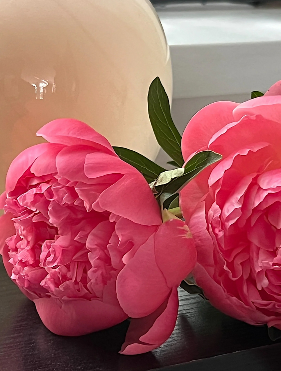 夏威夷珊瑚芍药:随手一拍都惊艳的花之仙子 夏威夷珊瑚芍药,这是一种