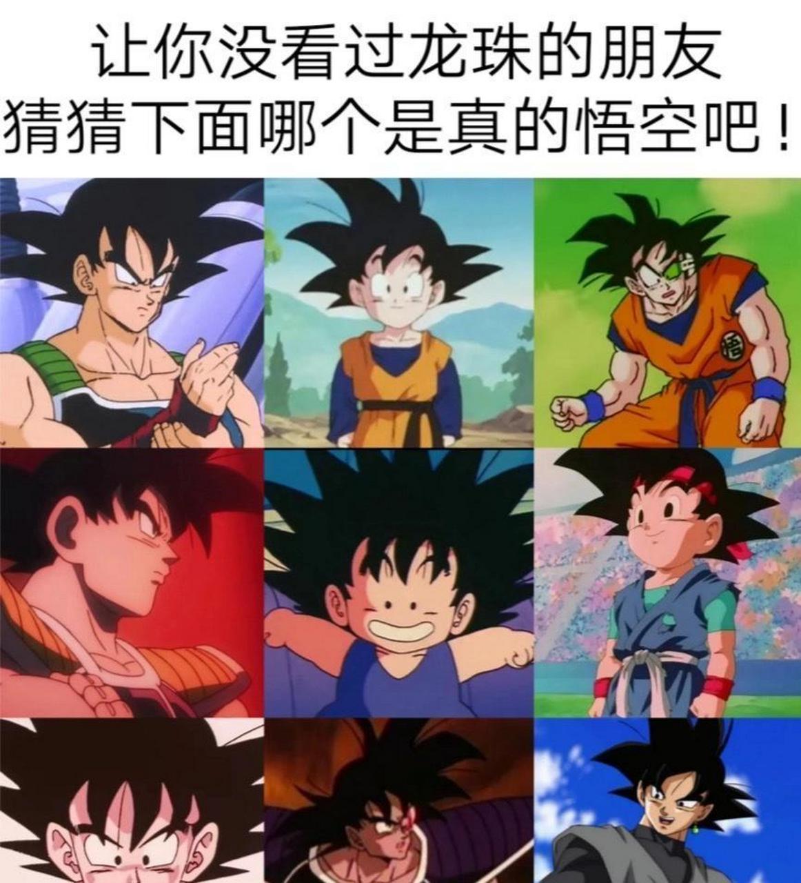 让你没看过龙珠的朋友,猜猜下面哪个是真的悟空吧! #趣图搞笑
