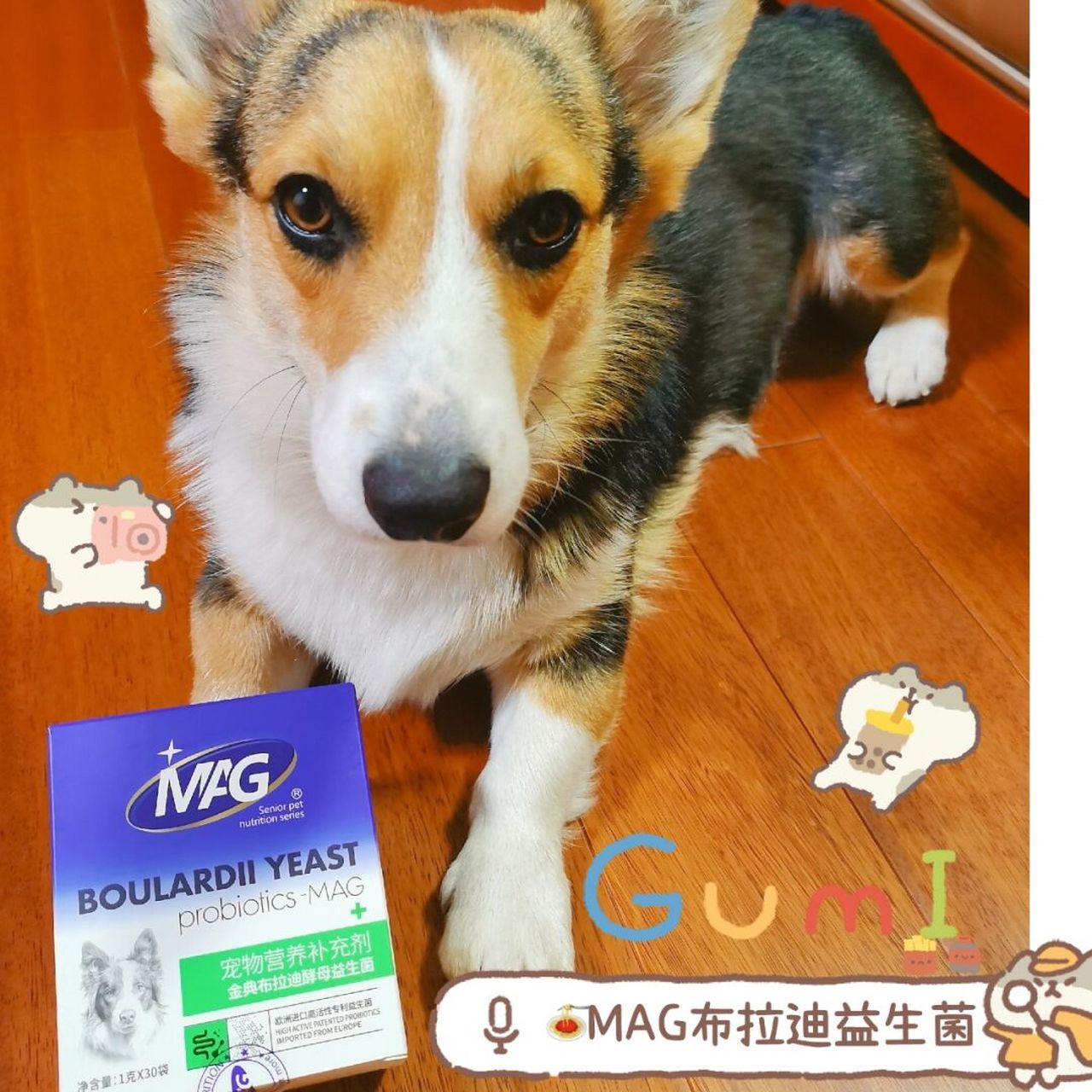 这次种草了mag金典布拉迪酵母益生菌,是法国拉曼进口专利益生菌,每g