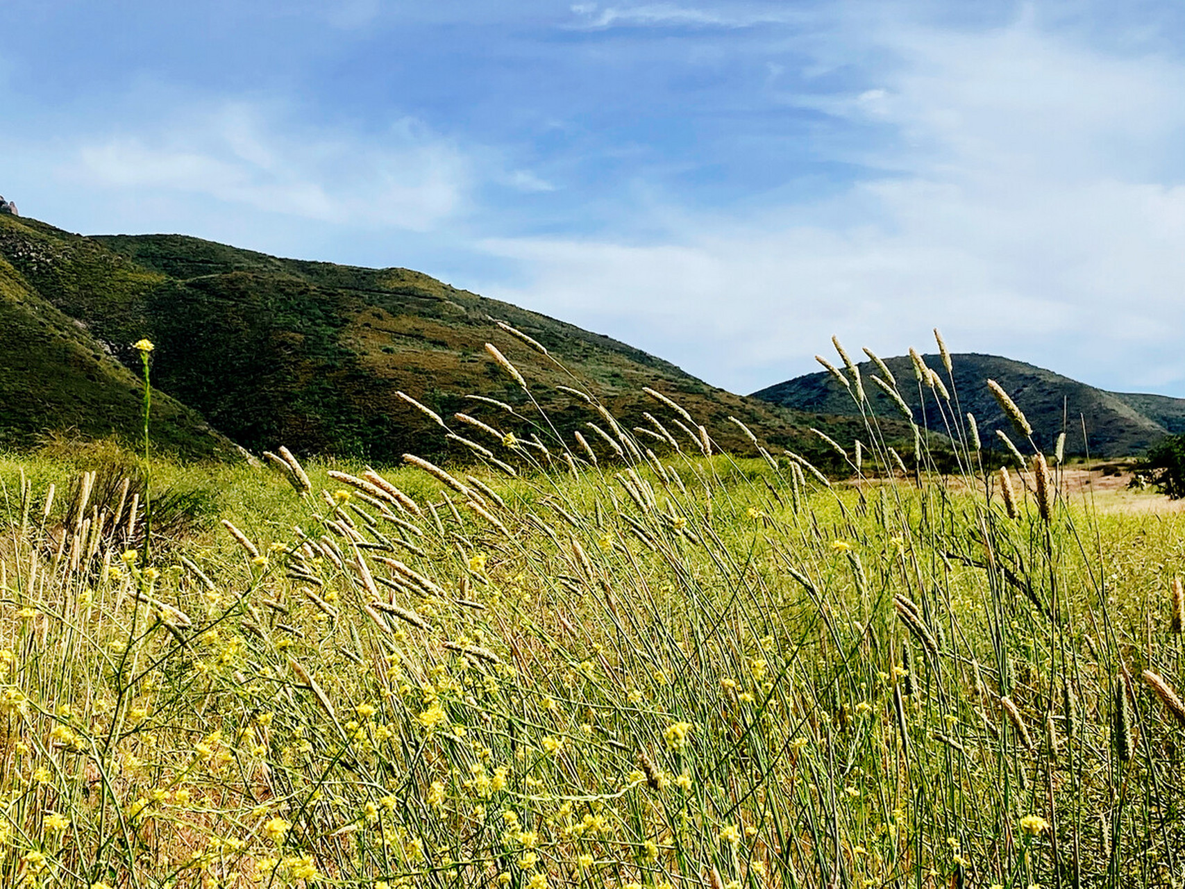 板荡,即国家动荡.