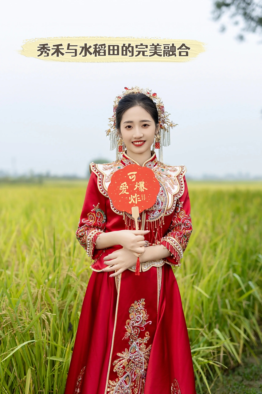 秀禾与水稻田的完美融合