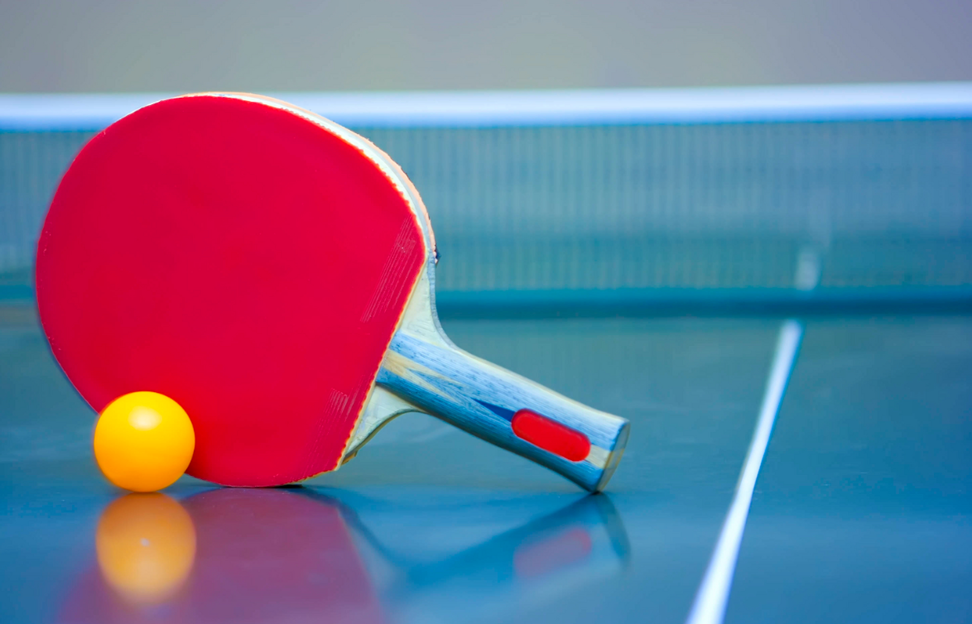 那么在乒乓球场上,如何判断谁是高手呢?下面我们来了解一下.