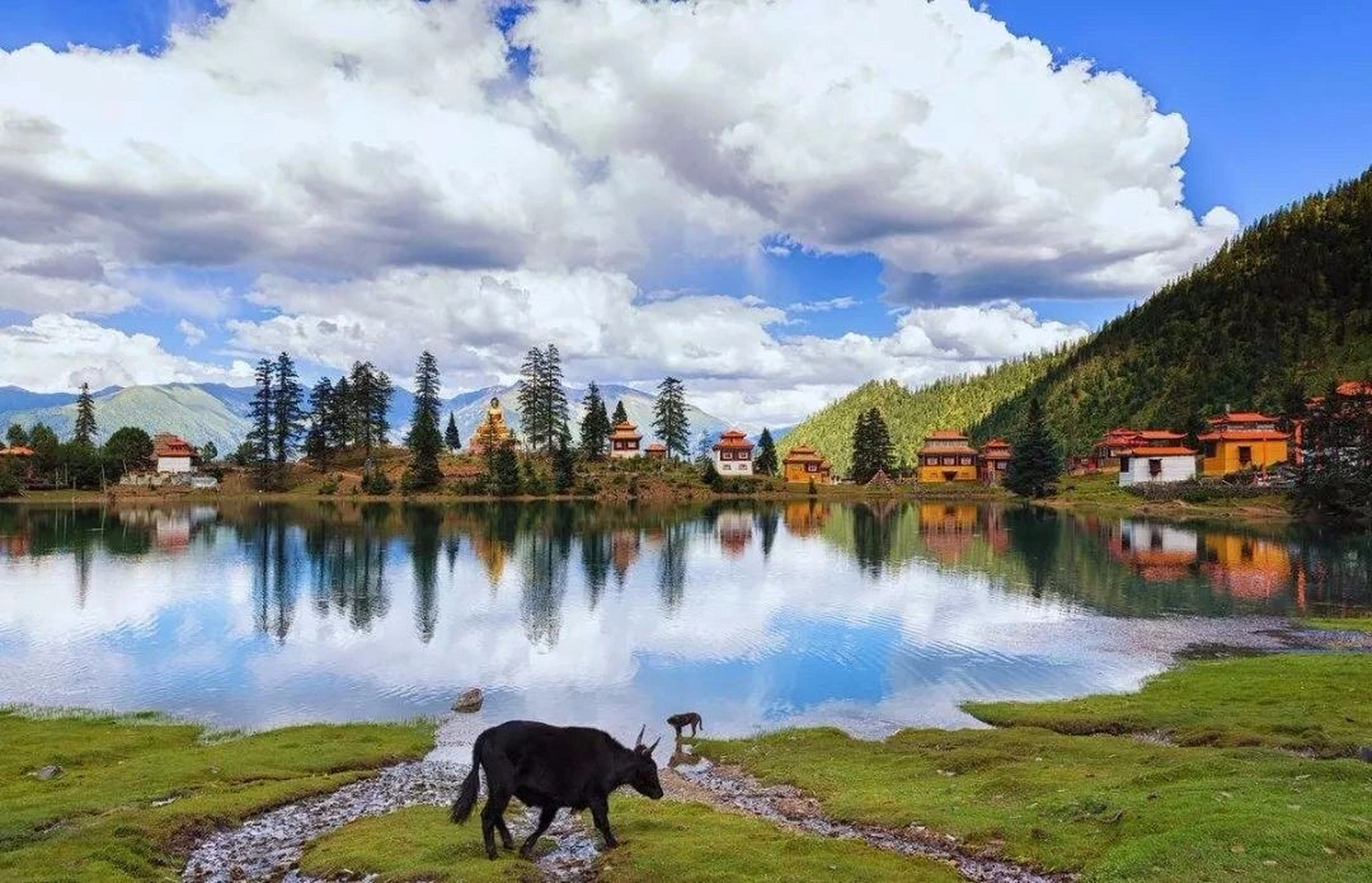 川西秘境五日游,毛娅大草原 热门景点推荐 毛垭大草原: 甘孜州理塘县